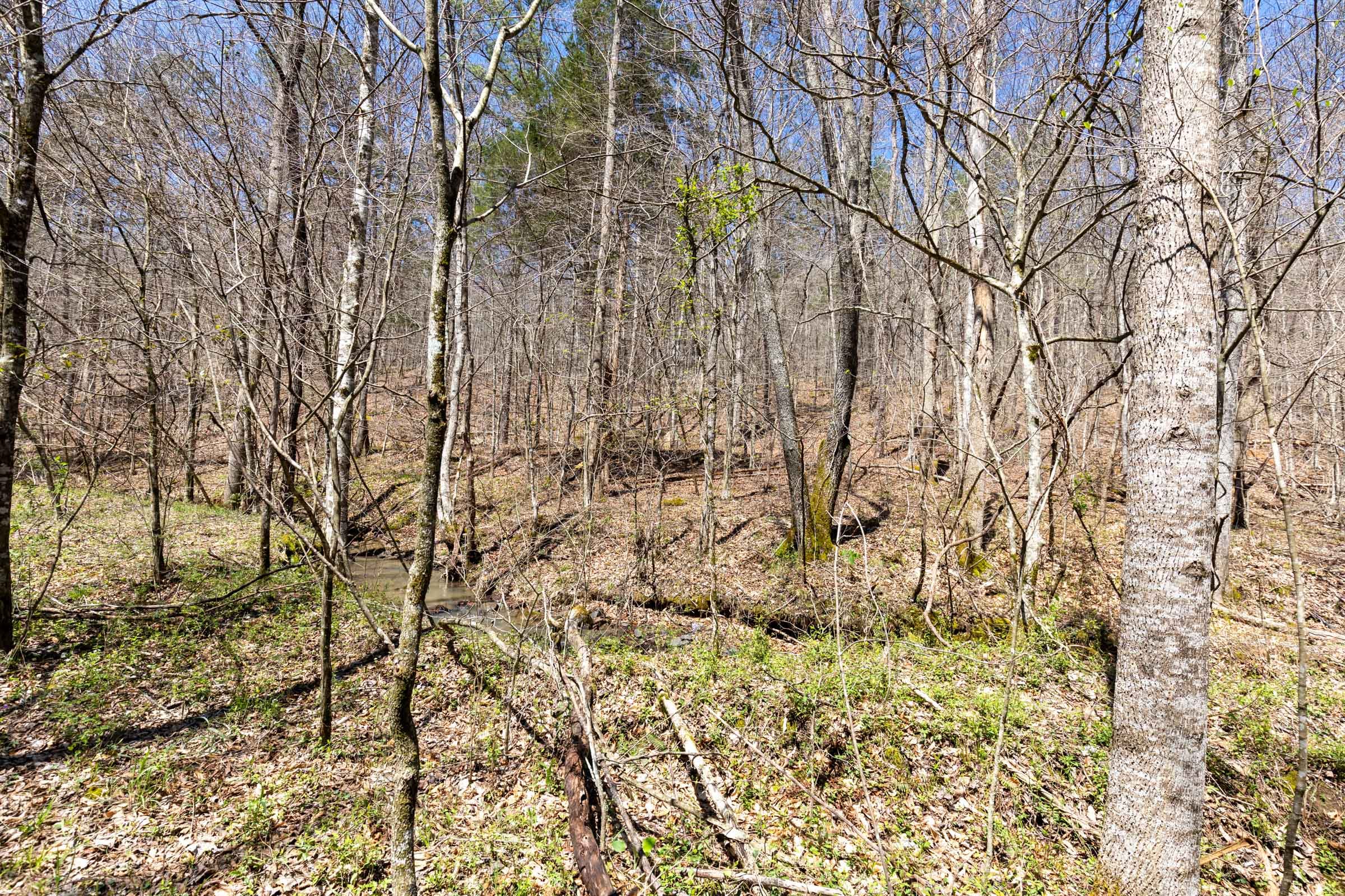 Woodland Heights Tract 5 photo 9