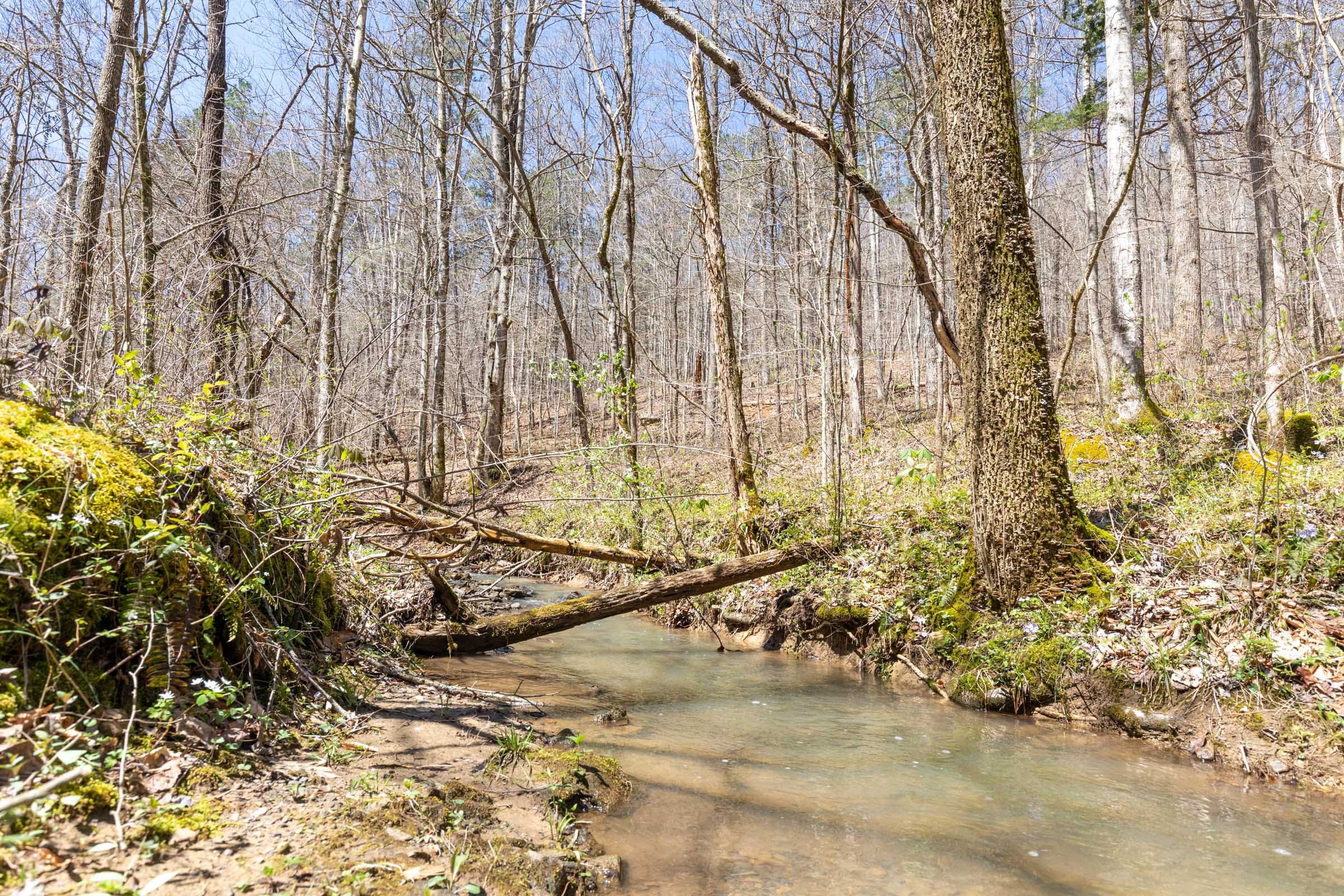 Woodland Heights Tract 5 photo 3