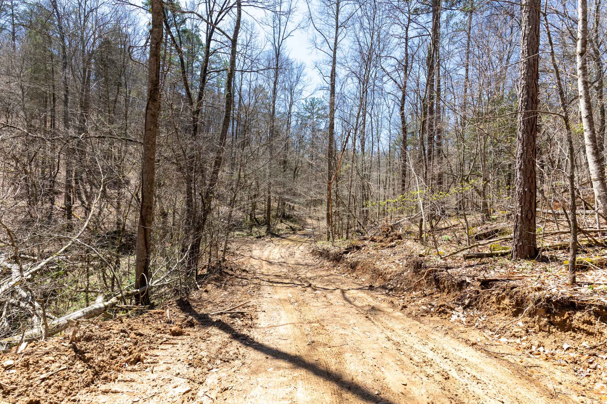 Woodland Heights Tract 5 photo 11