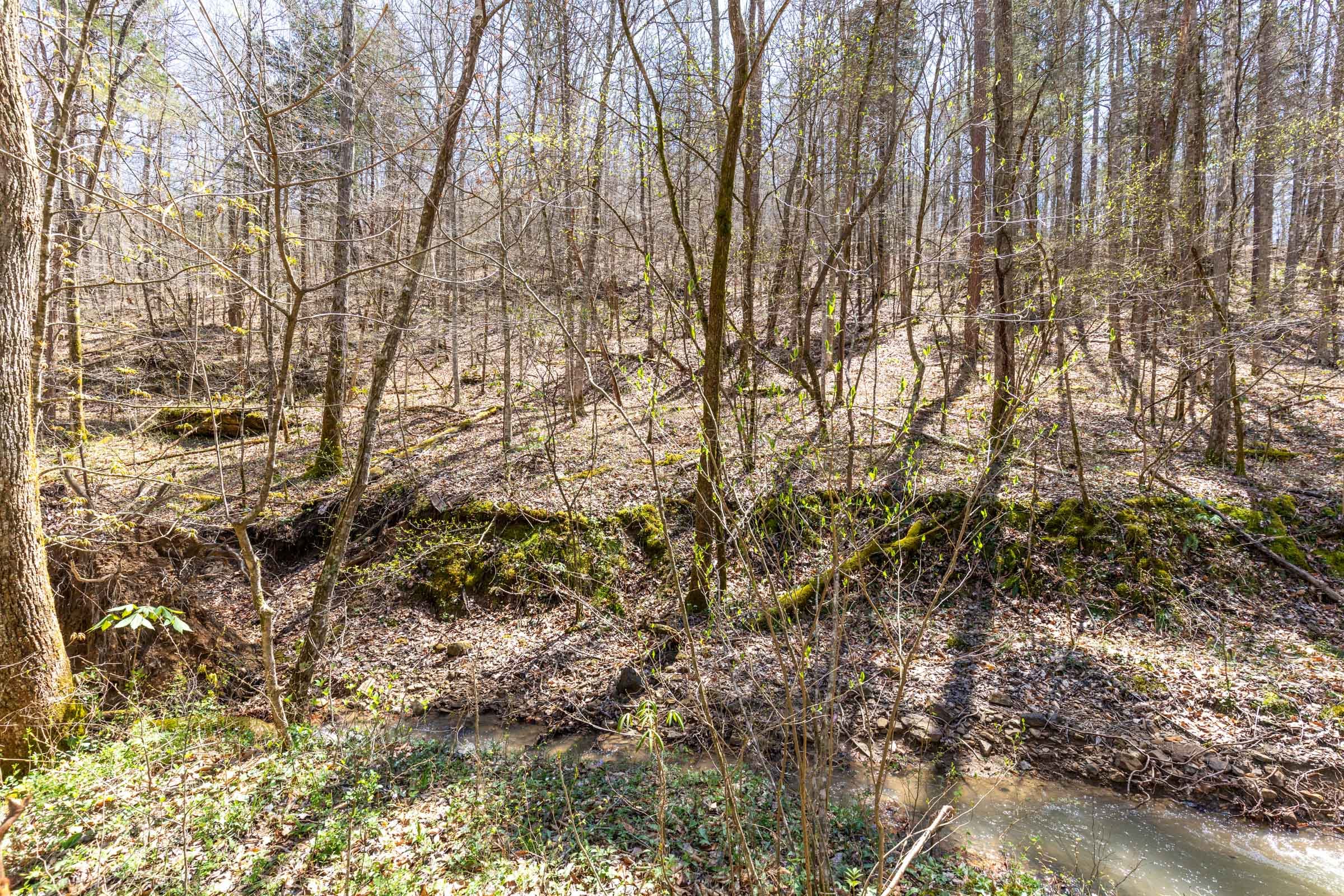 Woodland Heights Tract 5 photo 5