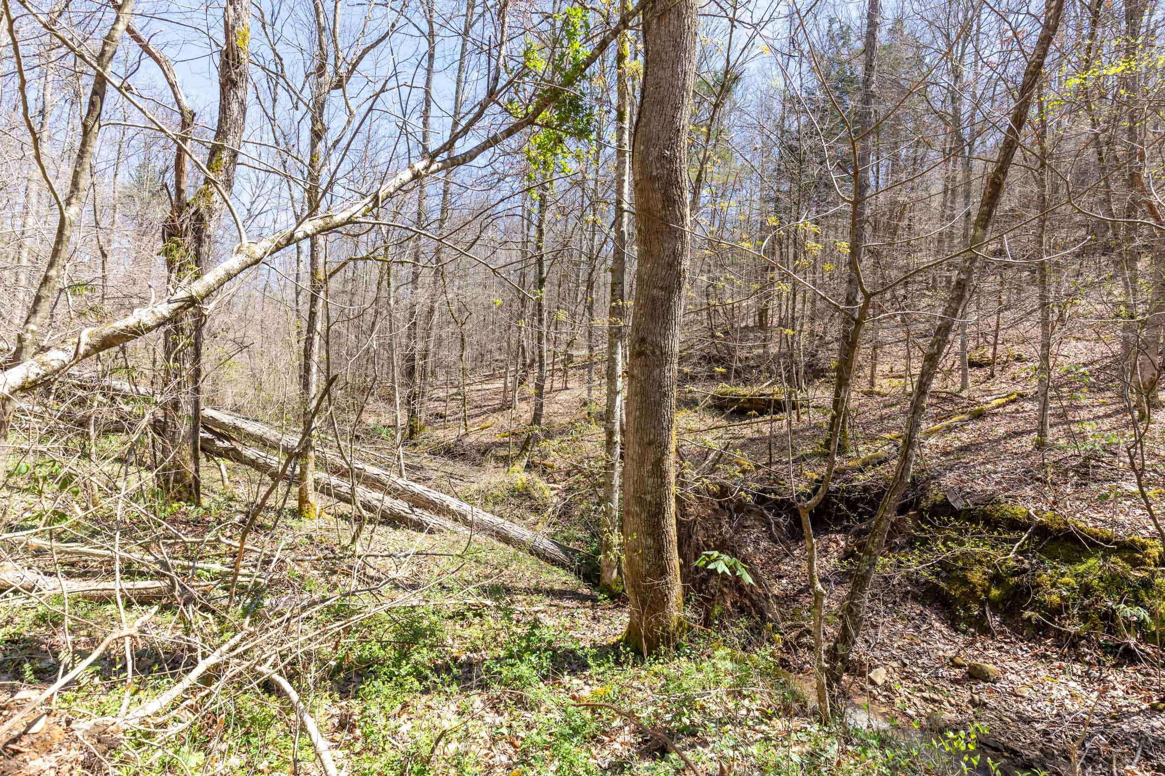 Woodland Heights Tract 5 photo 14