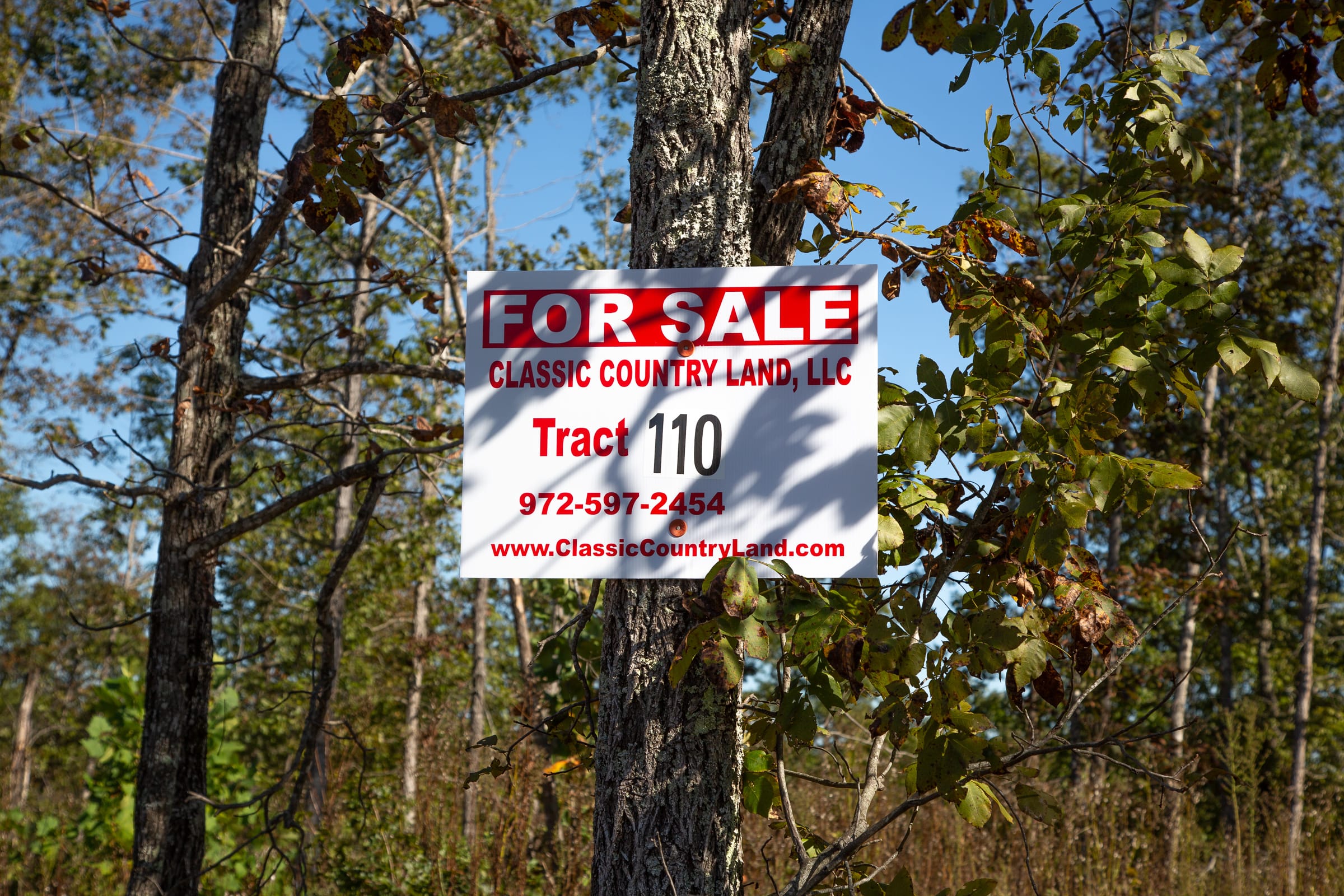 Borgmann’s Hollow Phase IV Tract 110 photo 1