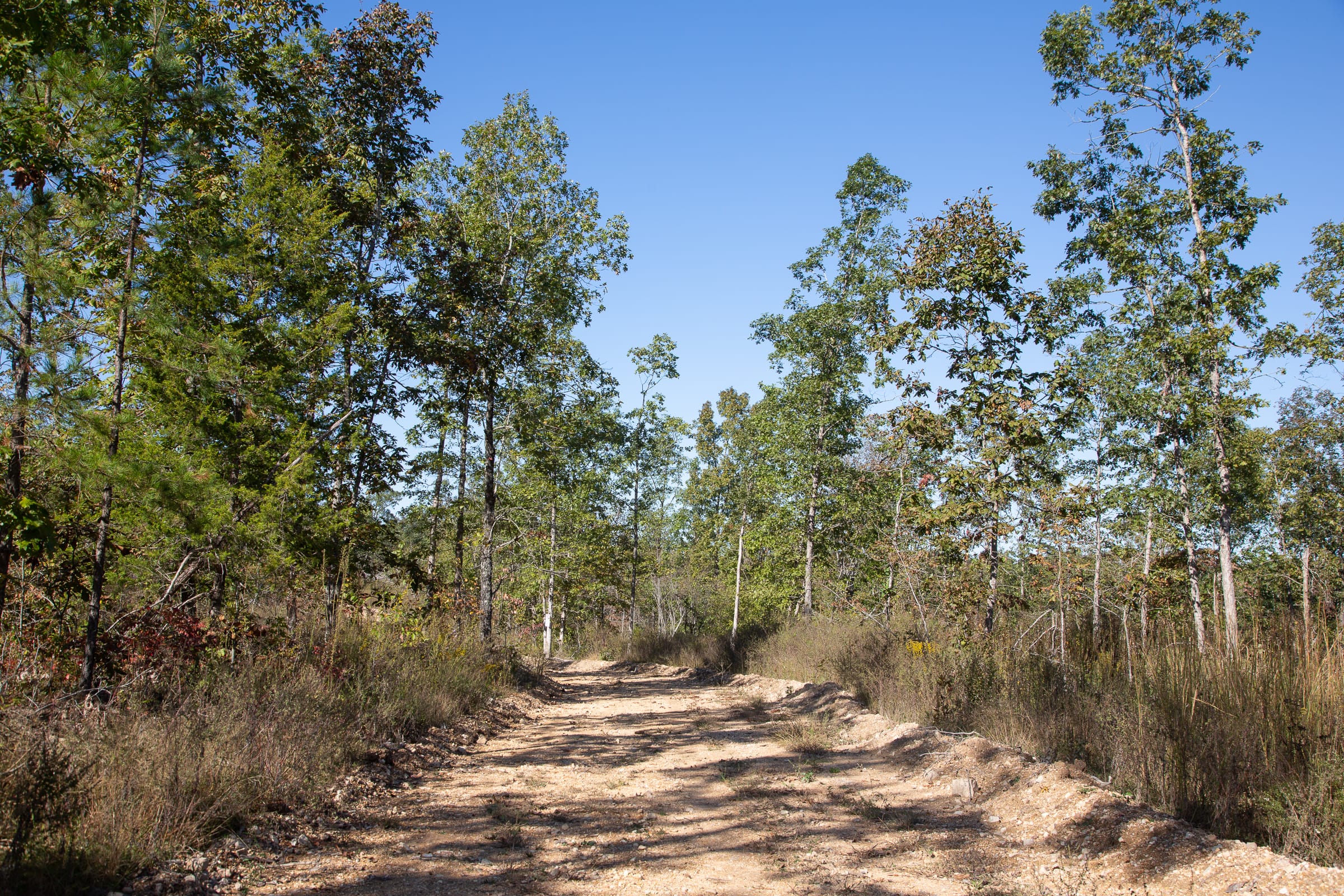 Borgmann’s Hollow Phase IV Tract 110 photo 4