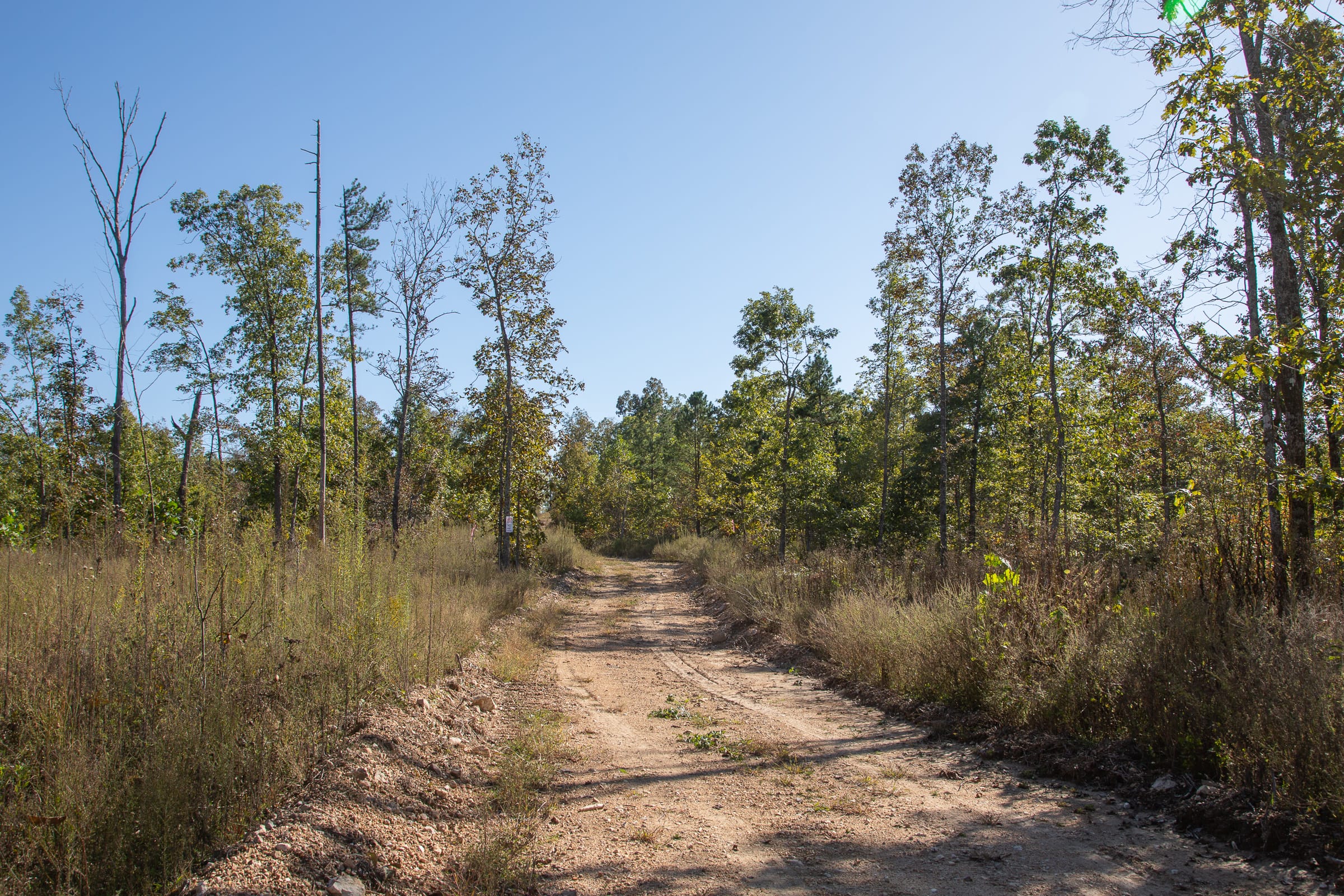 Borgmann’s Hollow Phase IV Tract 110 photo 11