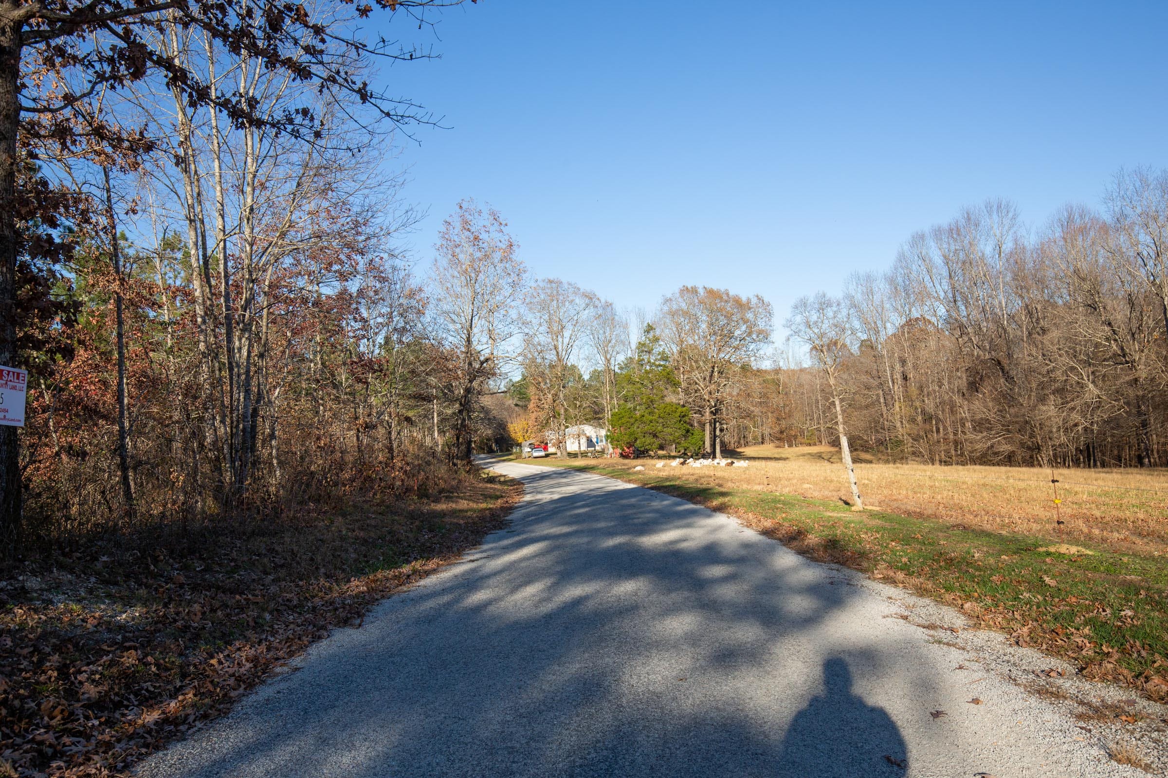 Whetstone Pines Tract 5 photo 9