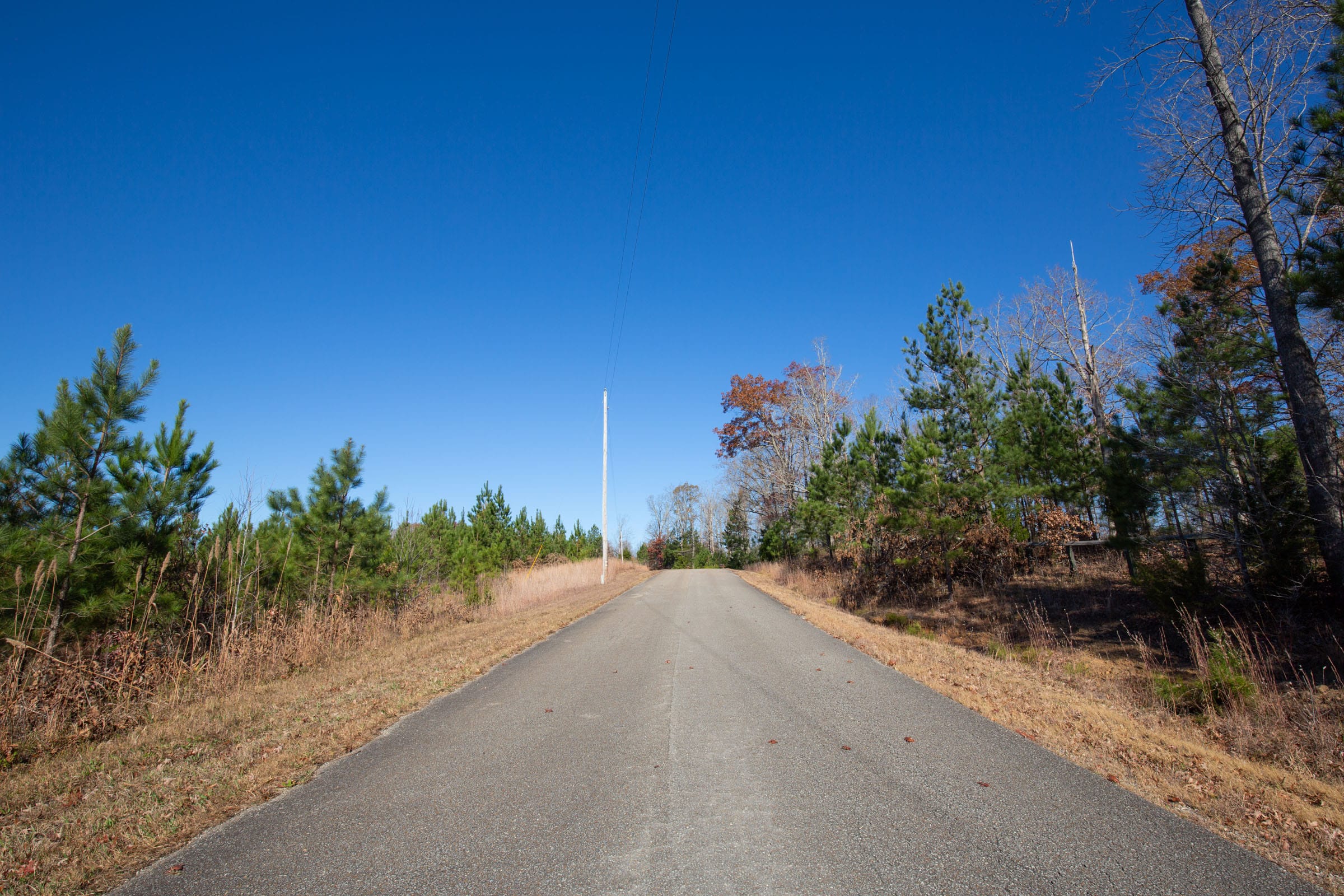 Pine Ridge Tract 2 photo 1