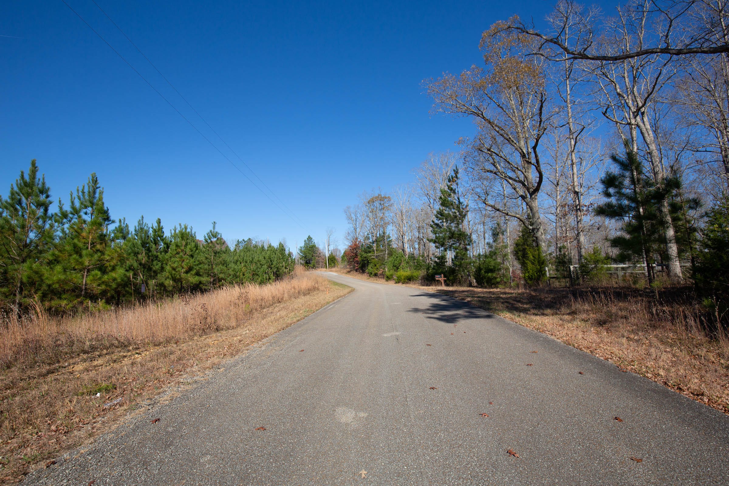 Pine Ridge Tract 2 photo 8