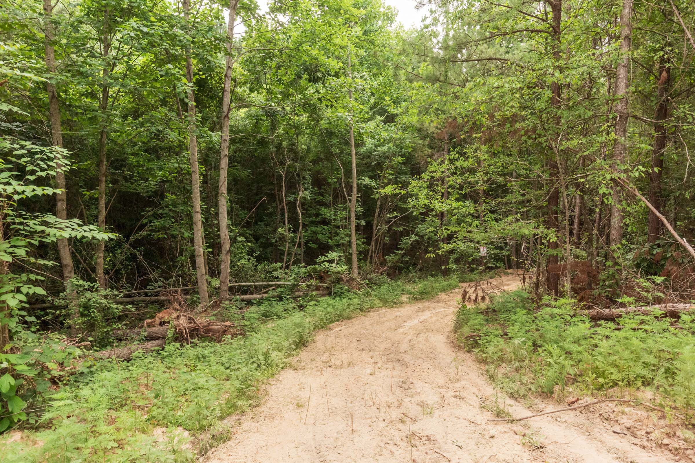 Whiskey Ridge Tract 87 photo 1