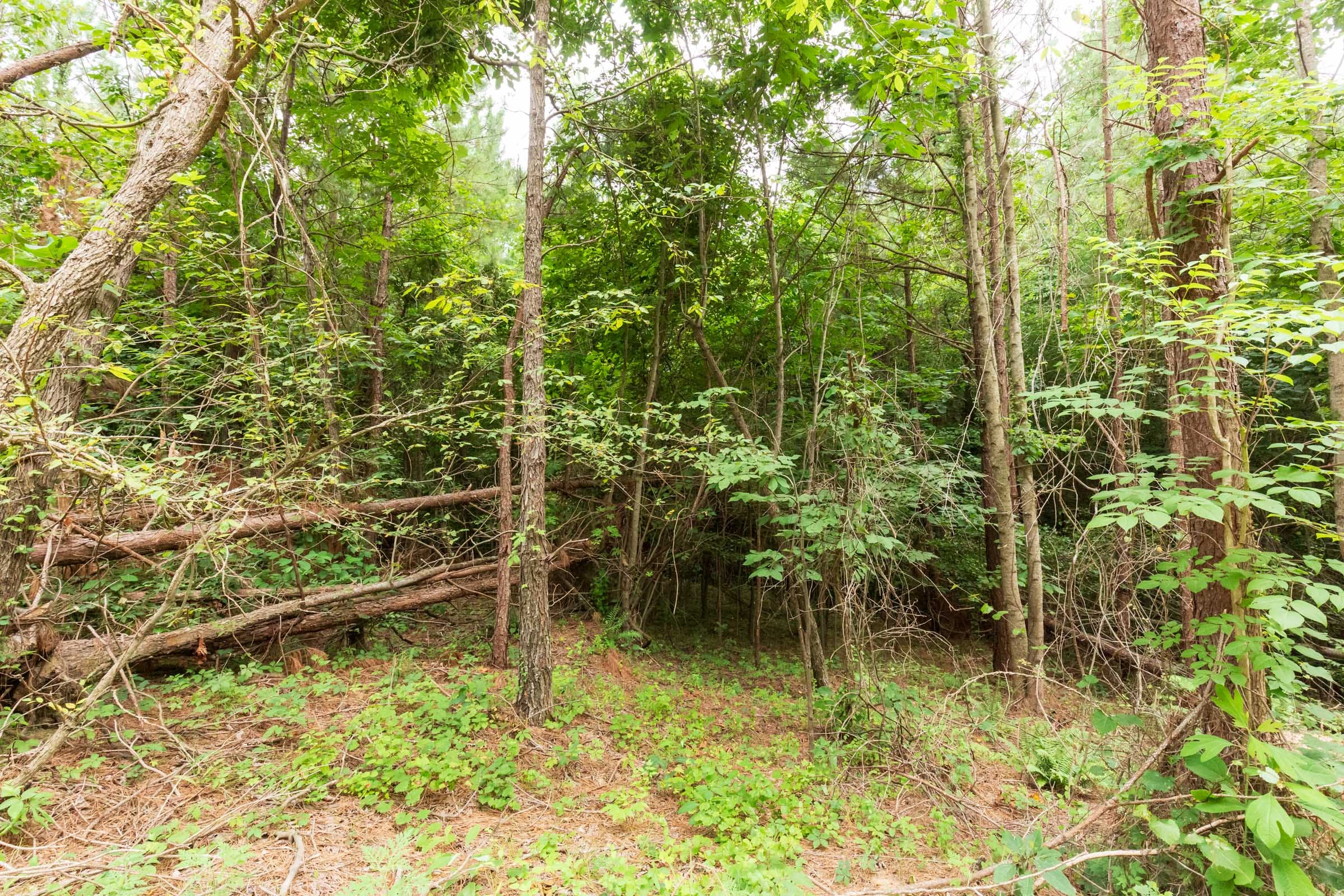 Whiskey Ridge Tract 87 photo 2