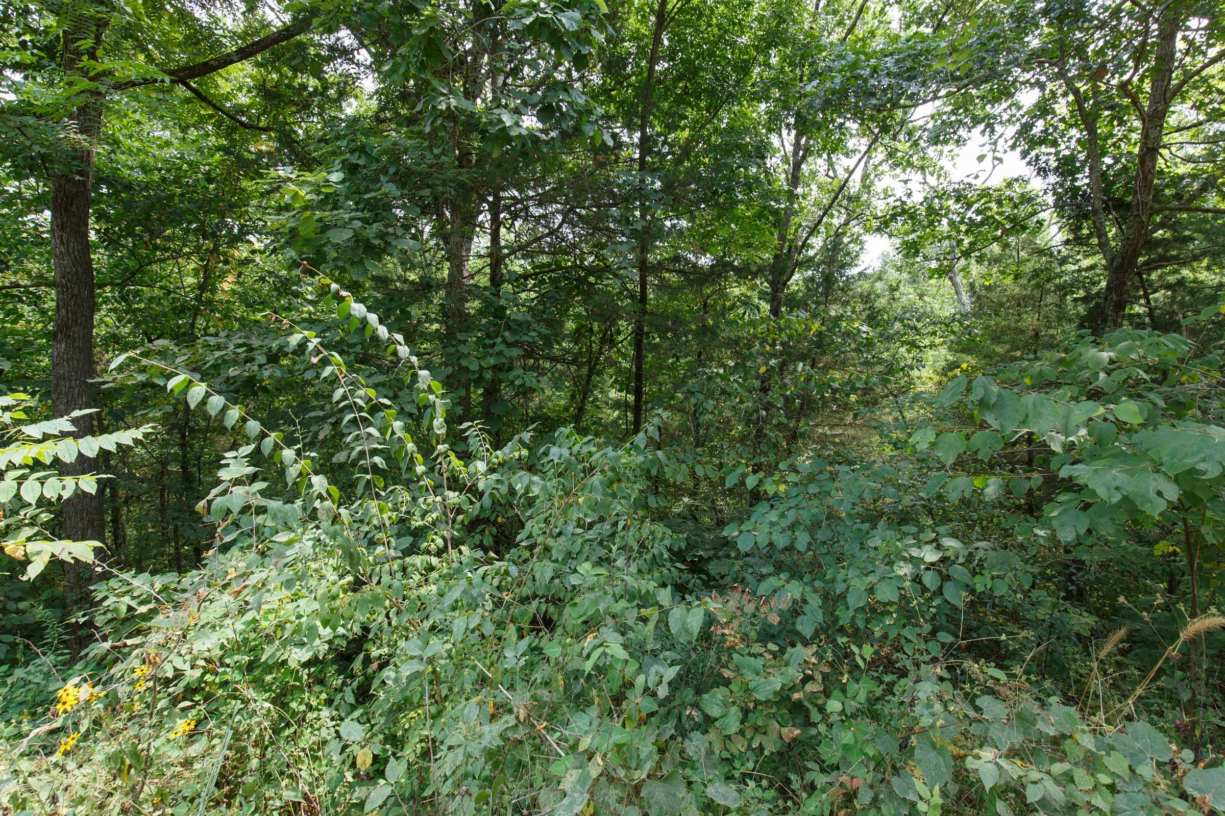 Spring Lake Plat 6 Tract 107 photo 2