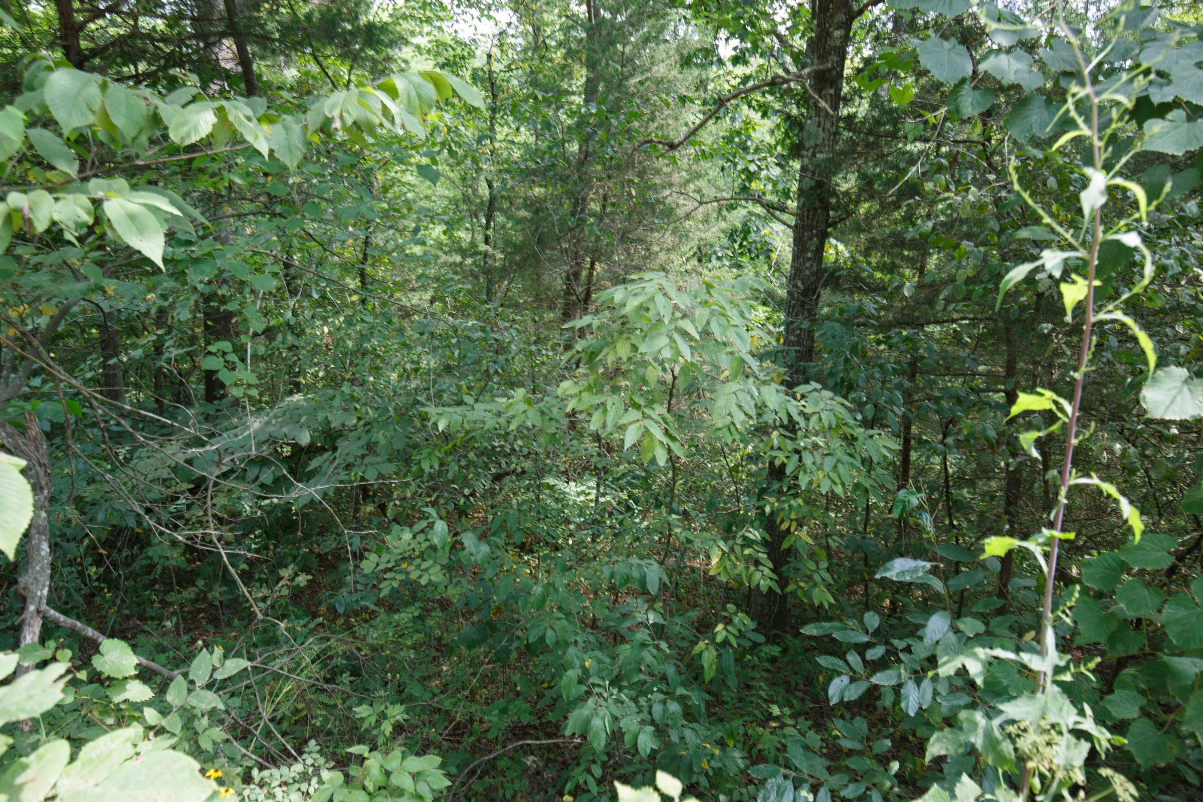 Spring Lake Plat 6 Tract 107 photo 4