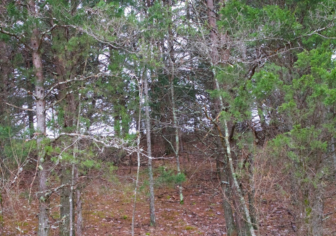 Majestic Rock Ranch Tract 3 photo 3