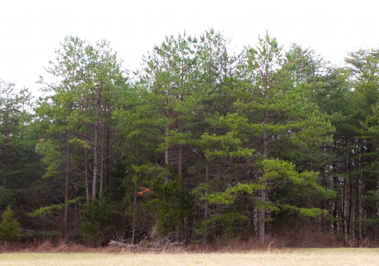 Majestic Rock Ranch Tract 3 photo 4