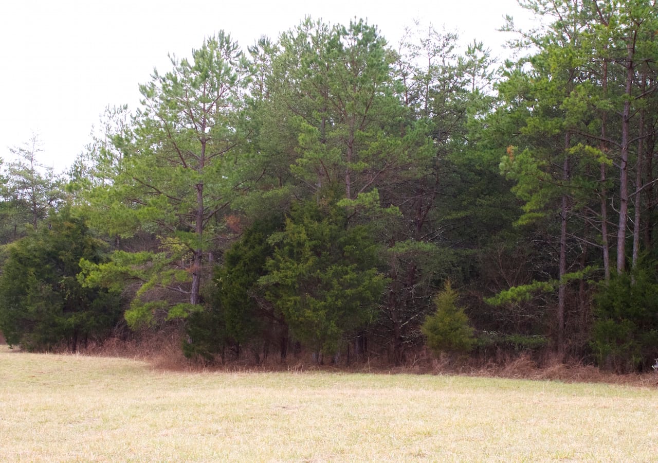 Majestic Rock Ranch Tract 3 photo 5