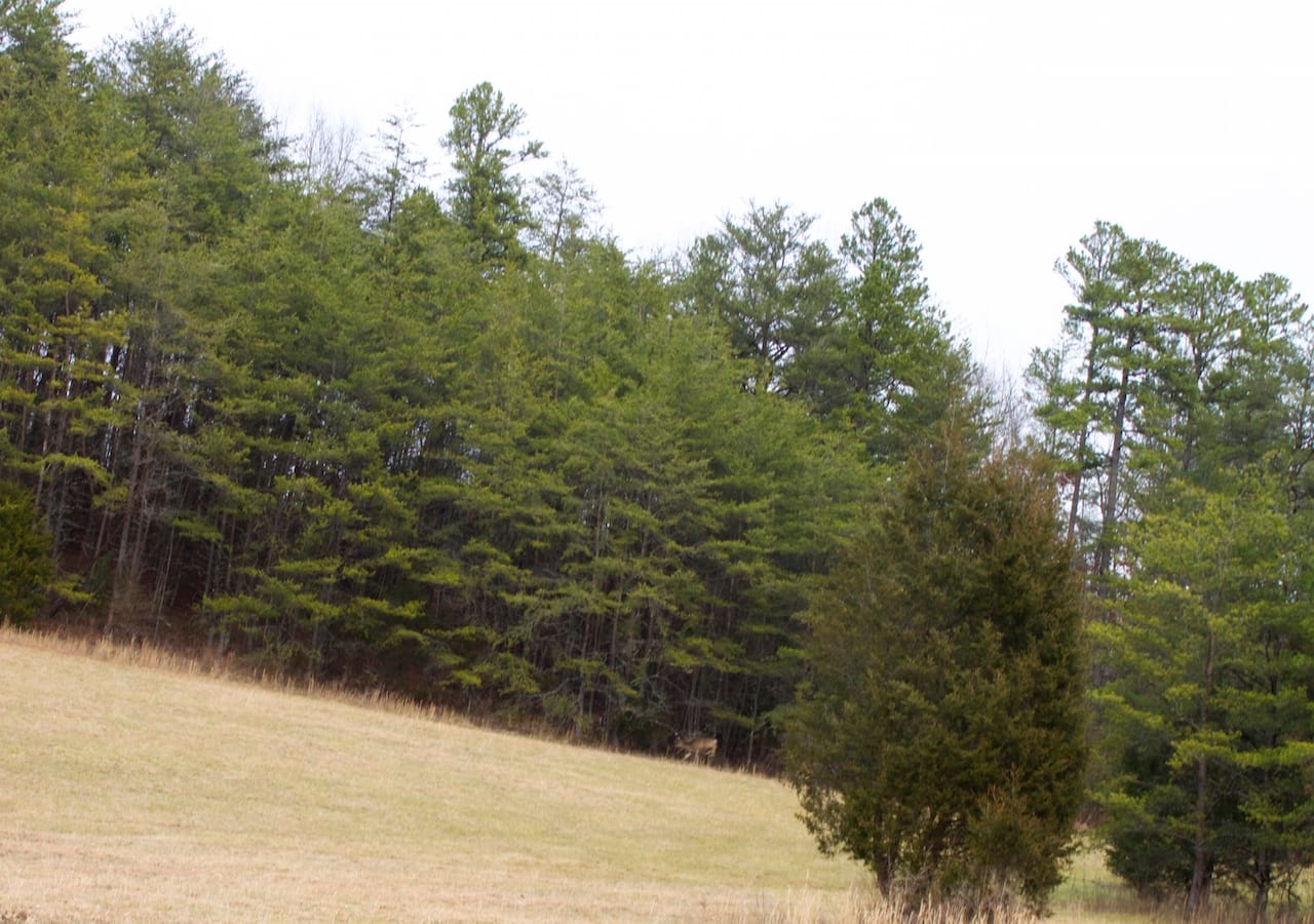 Majestic Rock Ranch Tract 3 photo 6