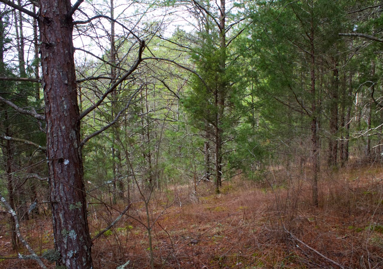 Majestic Rock Ranch Tract 3 photo 9