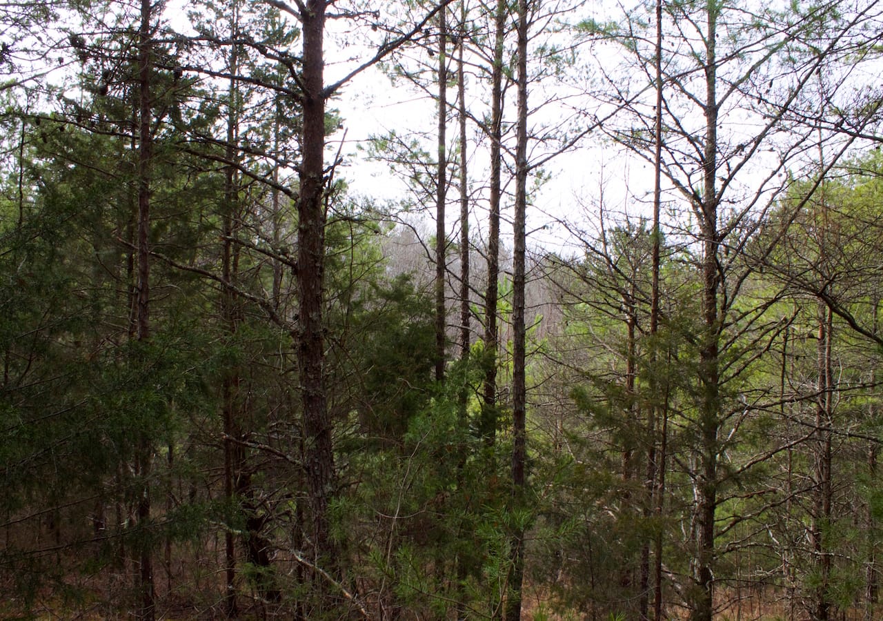 Majestic Rock Ranch Tract 3 photo 10