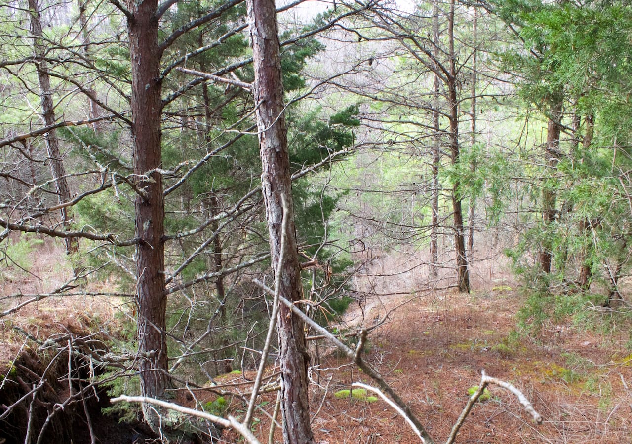 Majestic Rock Ranch Tract 3 photo 13