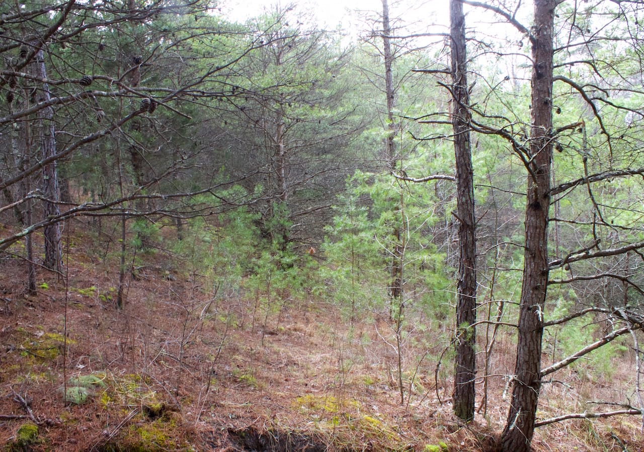 Majestic Rock Ranch Tract 3 photo 14