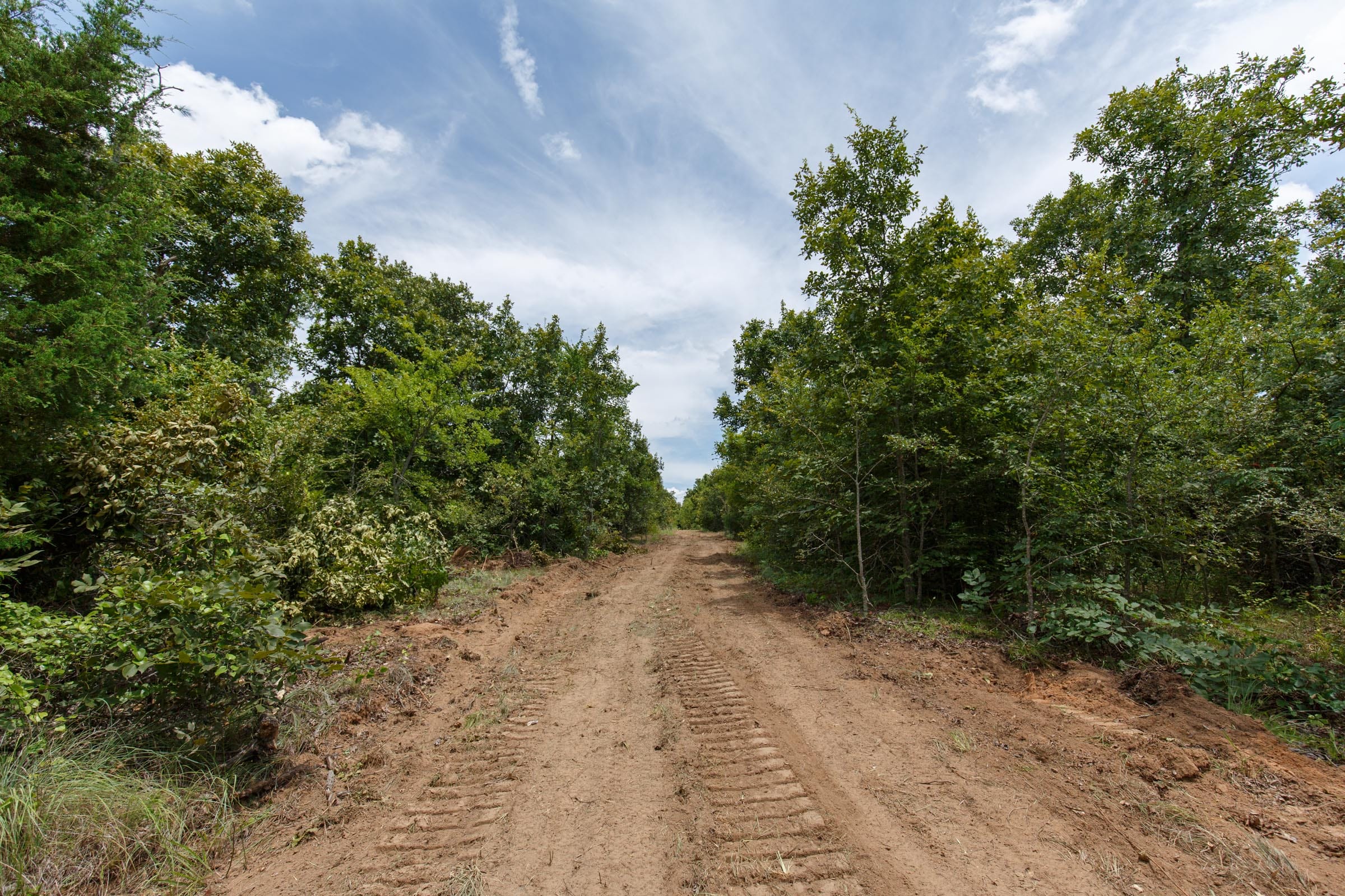 Timber Ridge Tract 5 photo 1