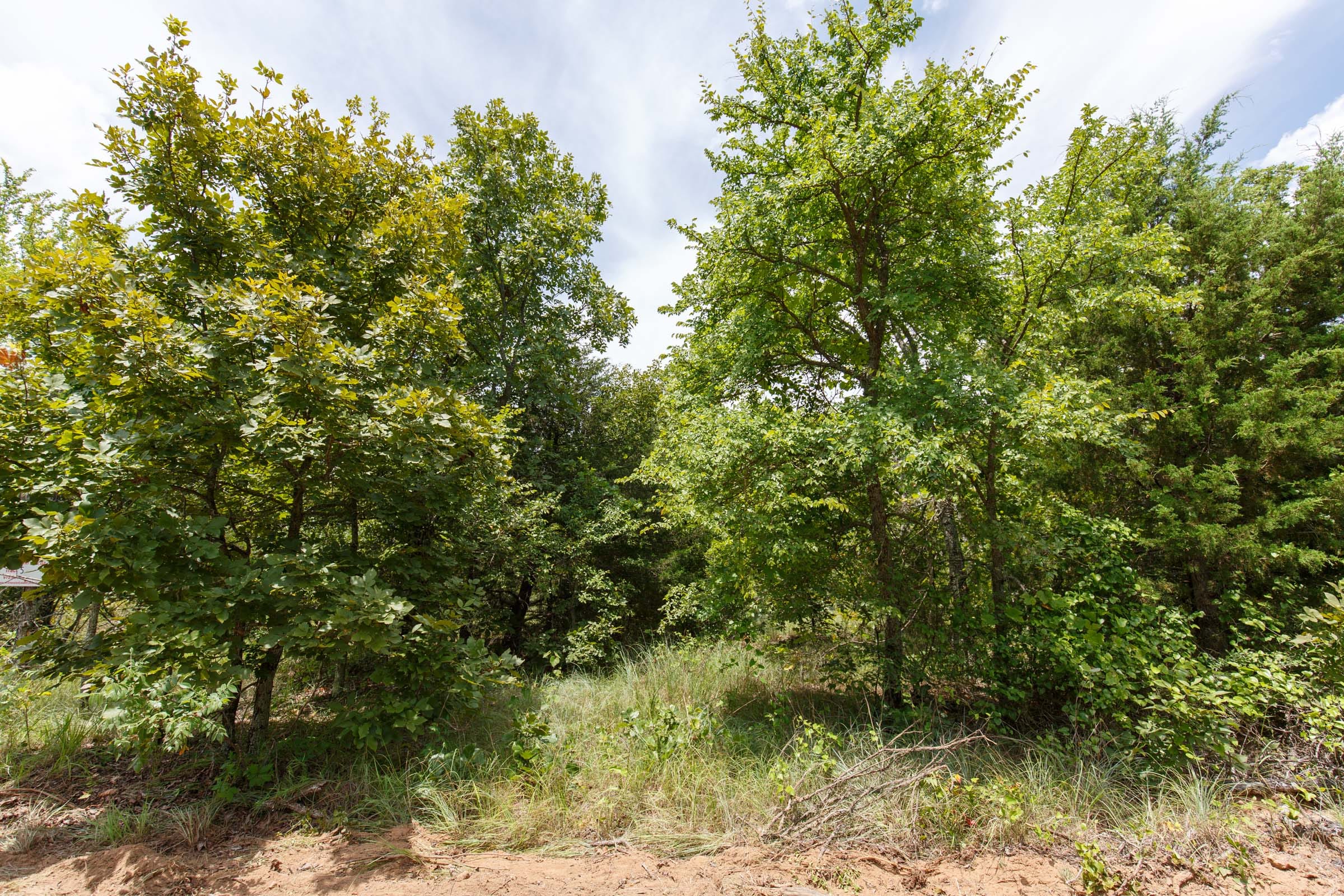 Timber Ridge Tract 5 photo 2