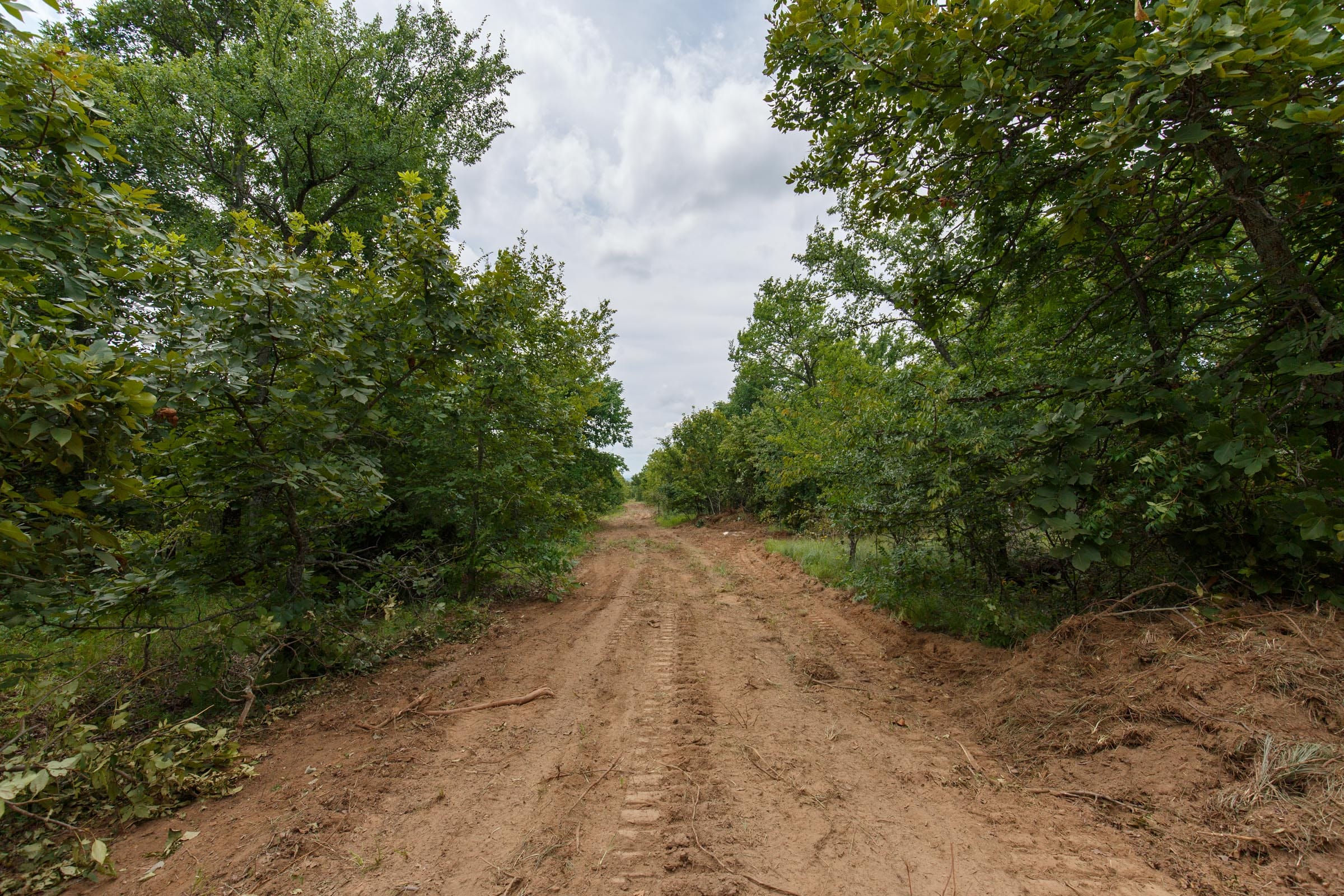 Timber Ridge Tract 5 photo 4