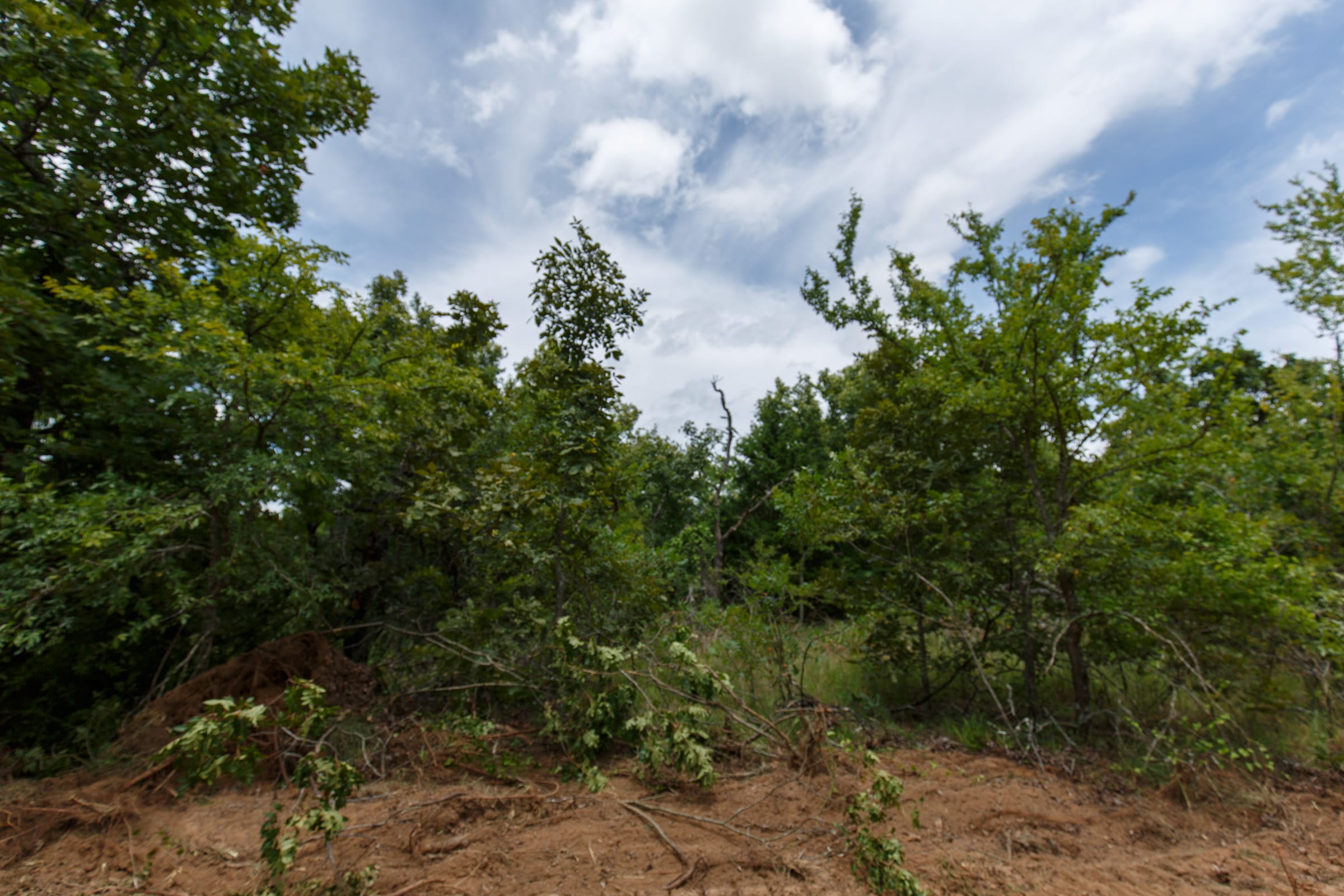 Timber Ridge Tract 5 photo 6