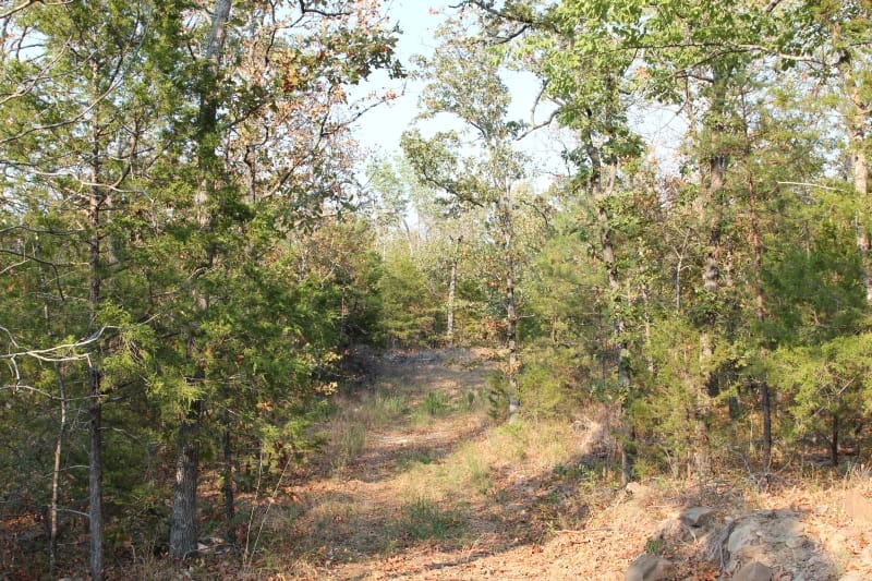 Lake View Ranch Tract 24 photo 1