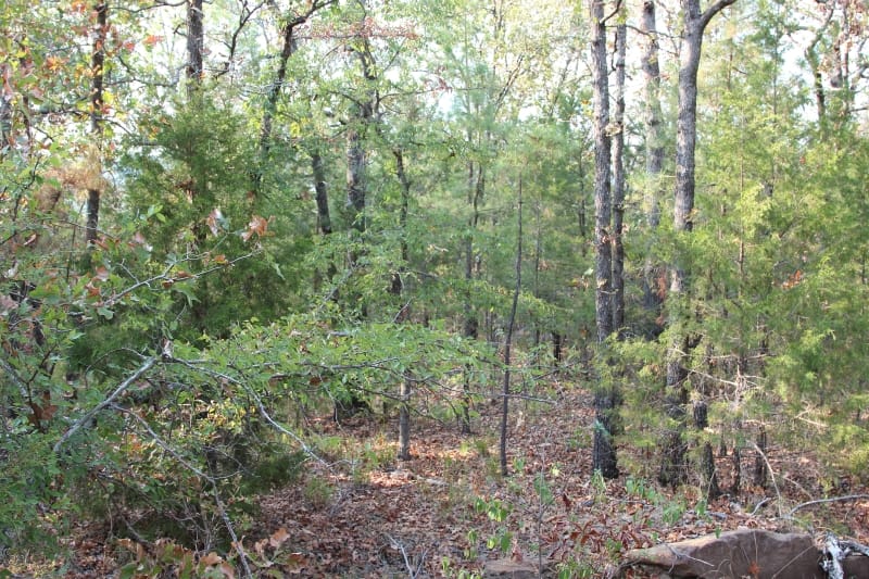 Lake View Ranch Tract 24 photo 5