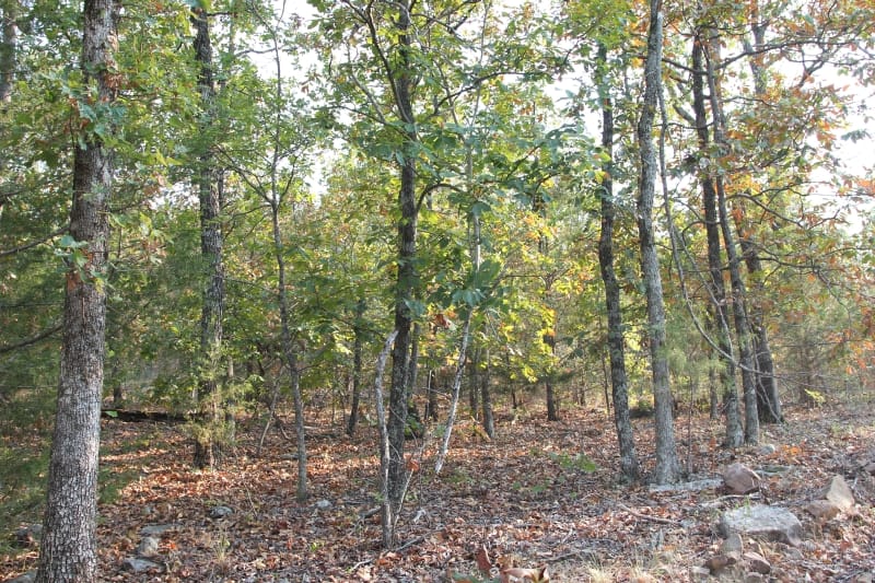 Lake View Ranch Tract 24 photo 7