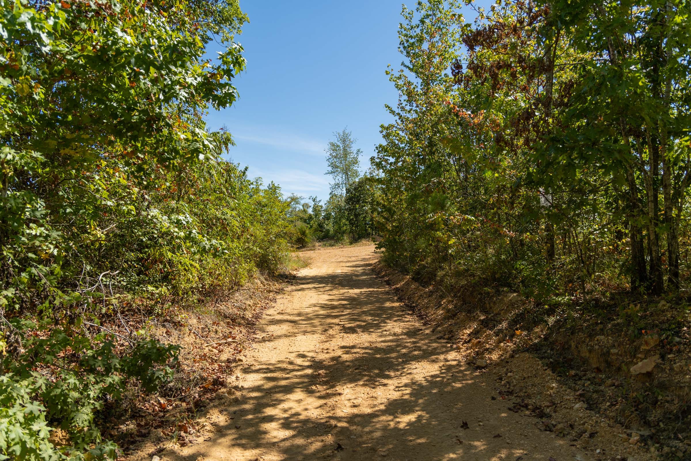 Big White Oak Tract 53 photo 1