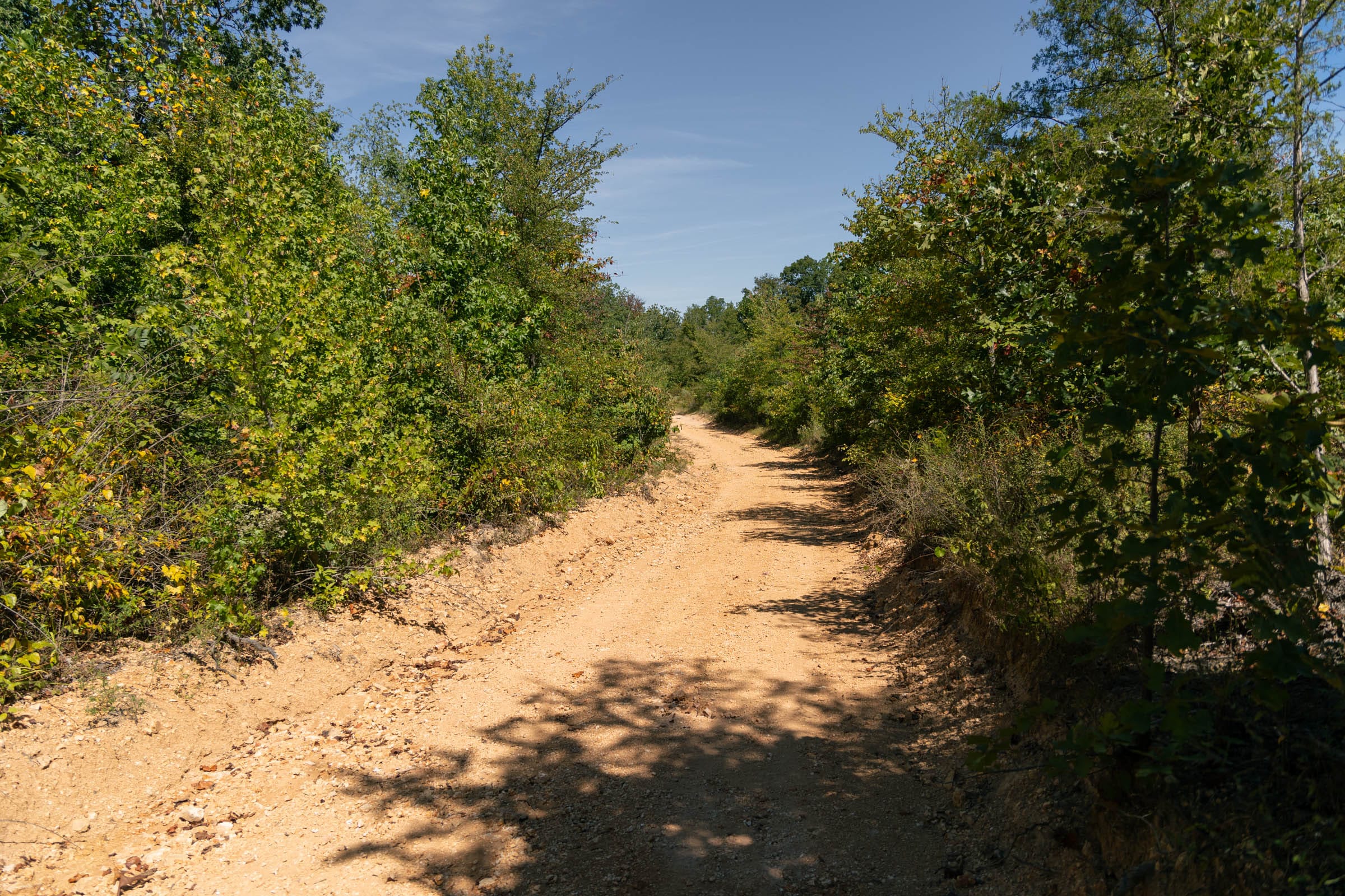 Big White Oak Tract 53 photo 4
