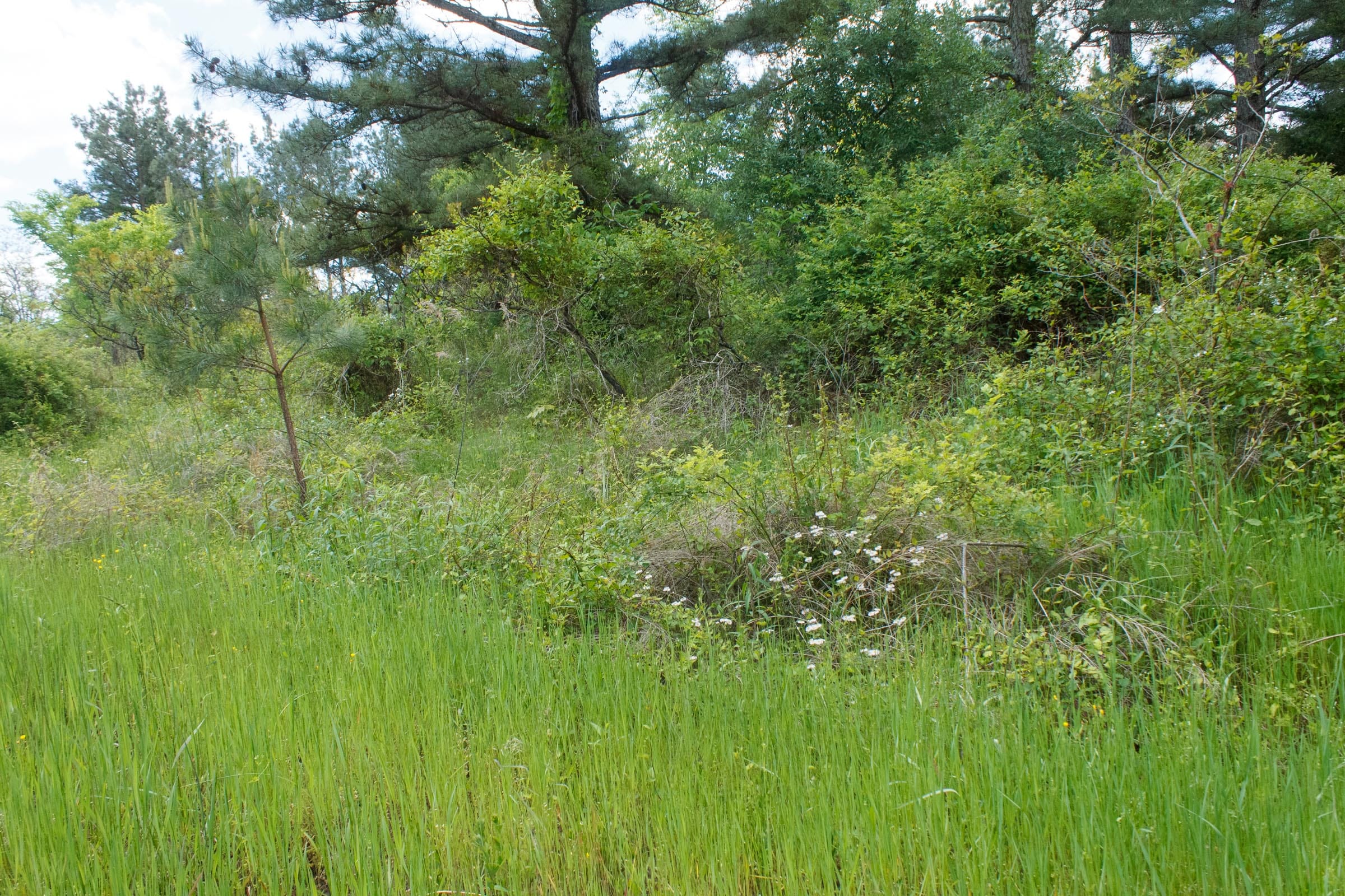 Riverbend Tract 18 photo 7