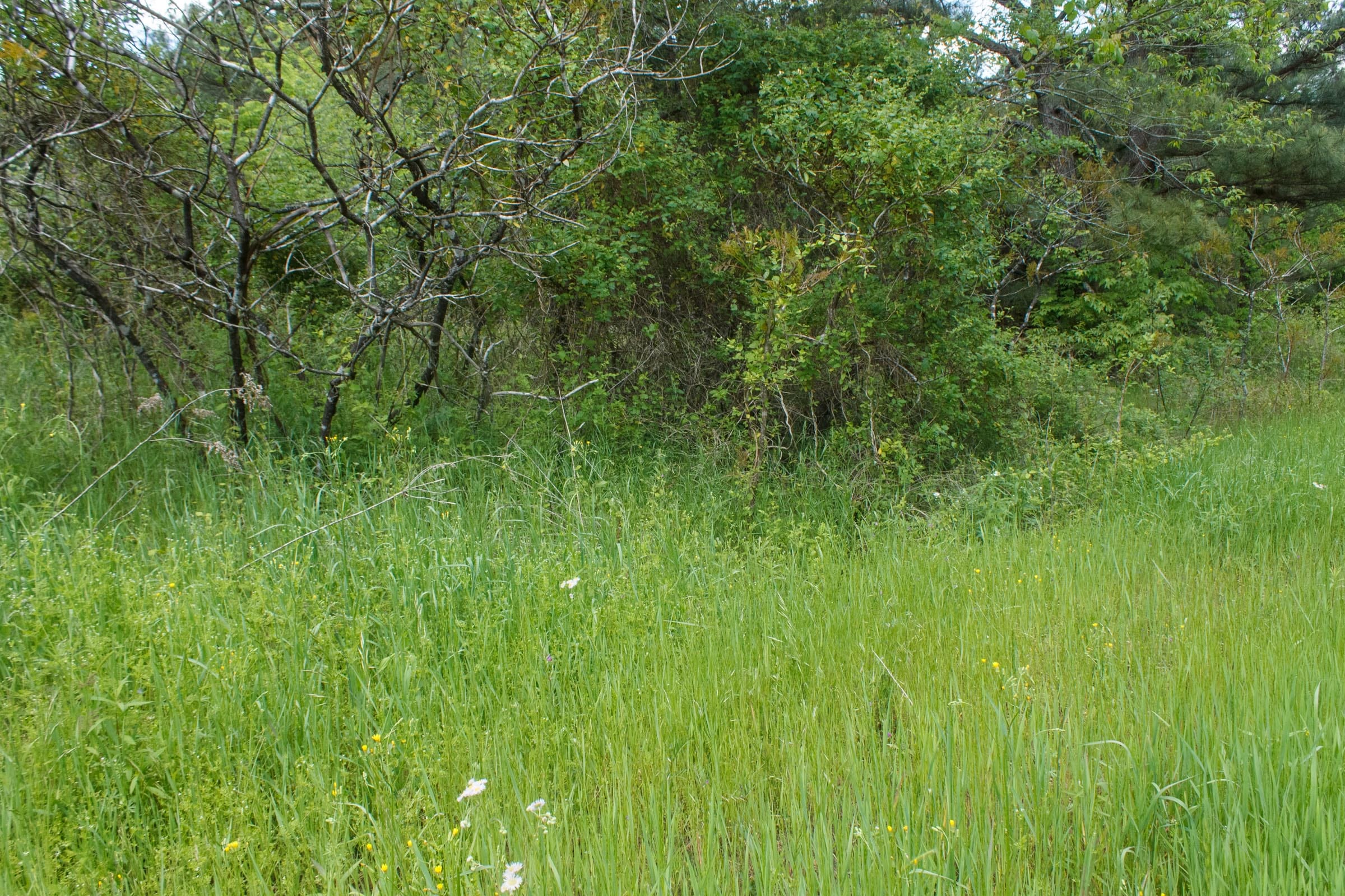 Riverbend Tract 18 photo 9