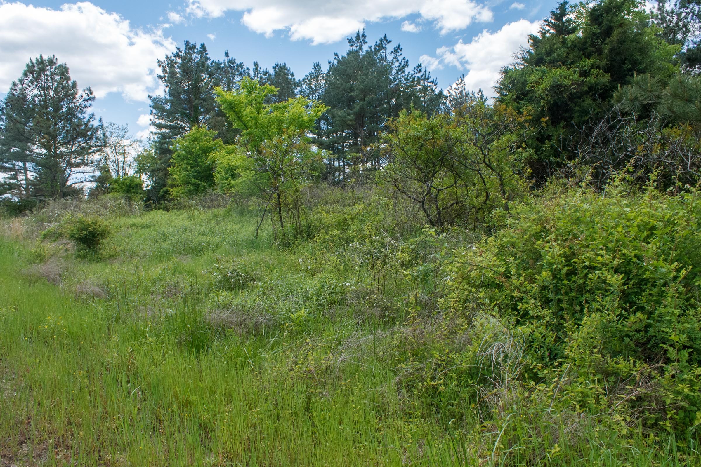 Riverbend Tract 18 photo 10