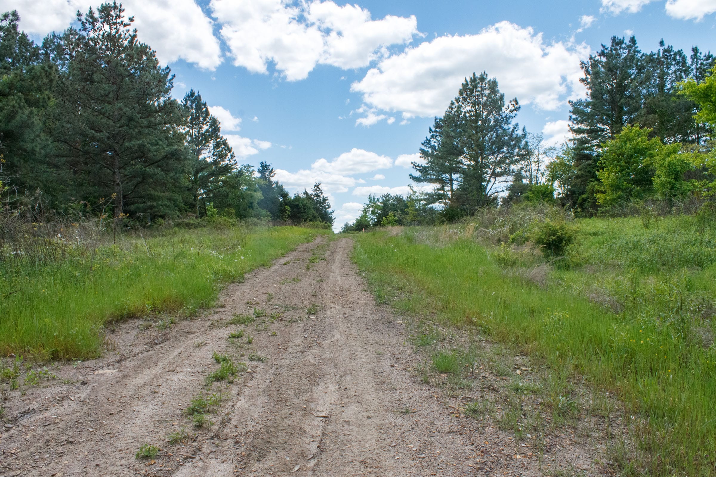 Riverbend Tract 18 photo 11