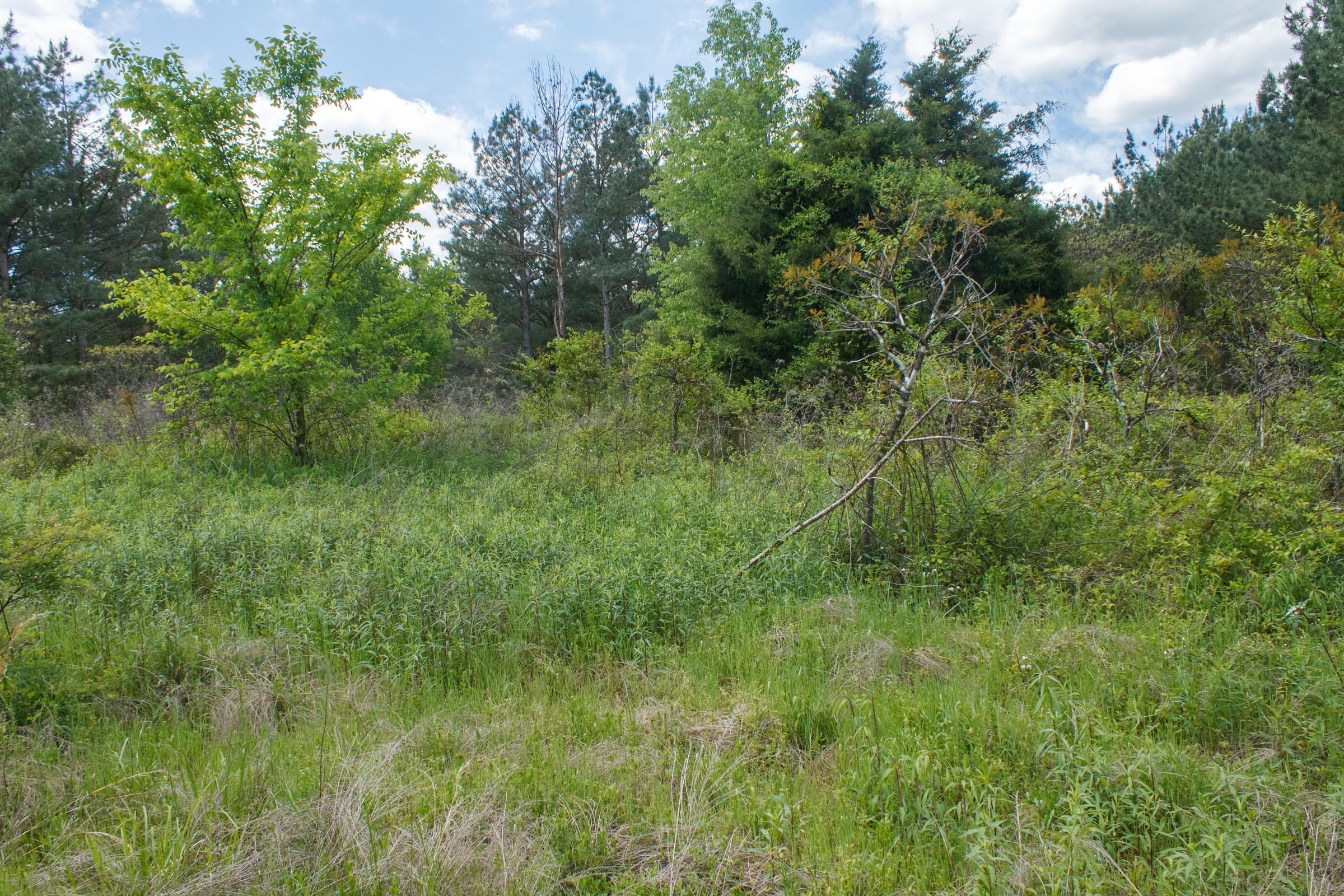 Riverbend Tract 18 photo 13