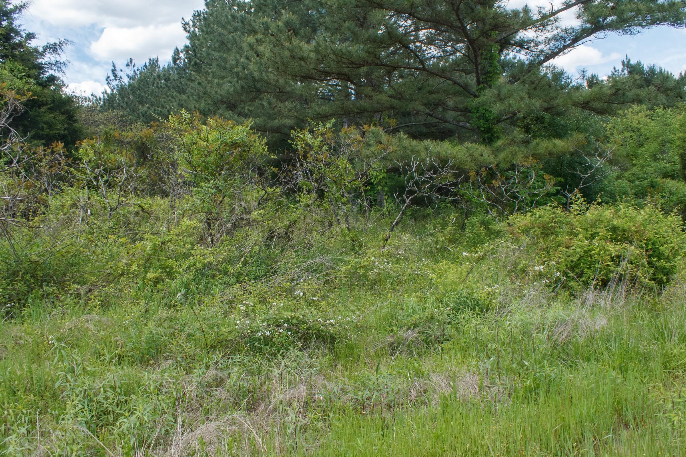 Riverbend Tract 18 photo 15