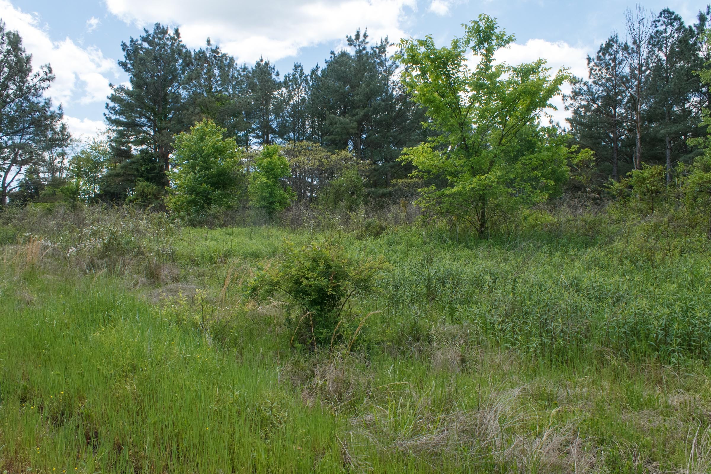 Riverbend Tract 18 photo 16