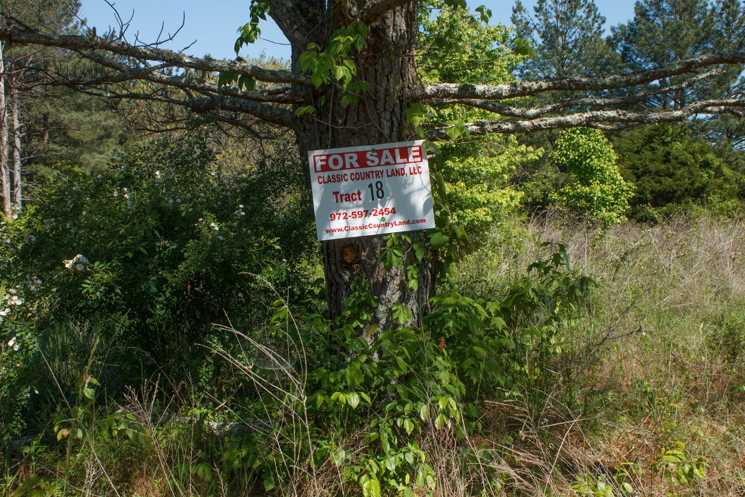 Riverbend Tract 18 photo 1