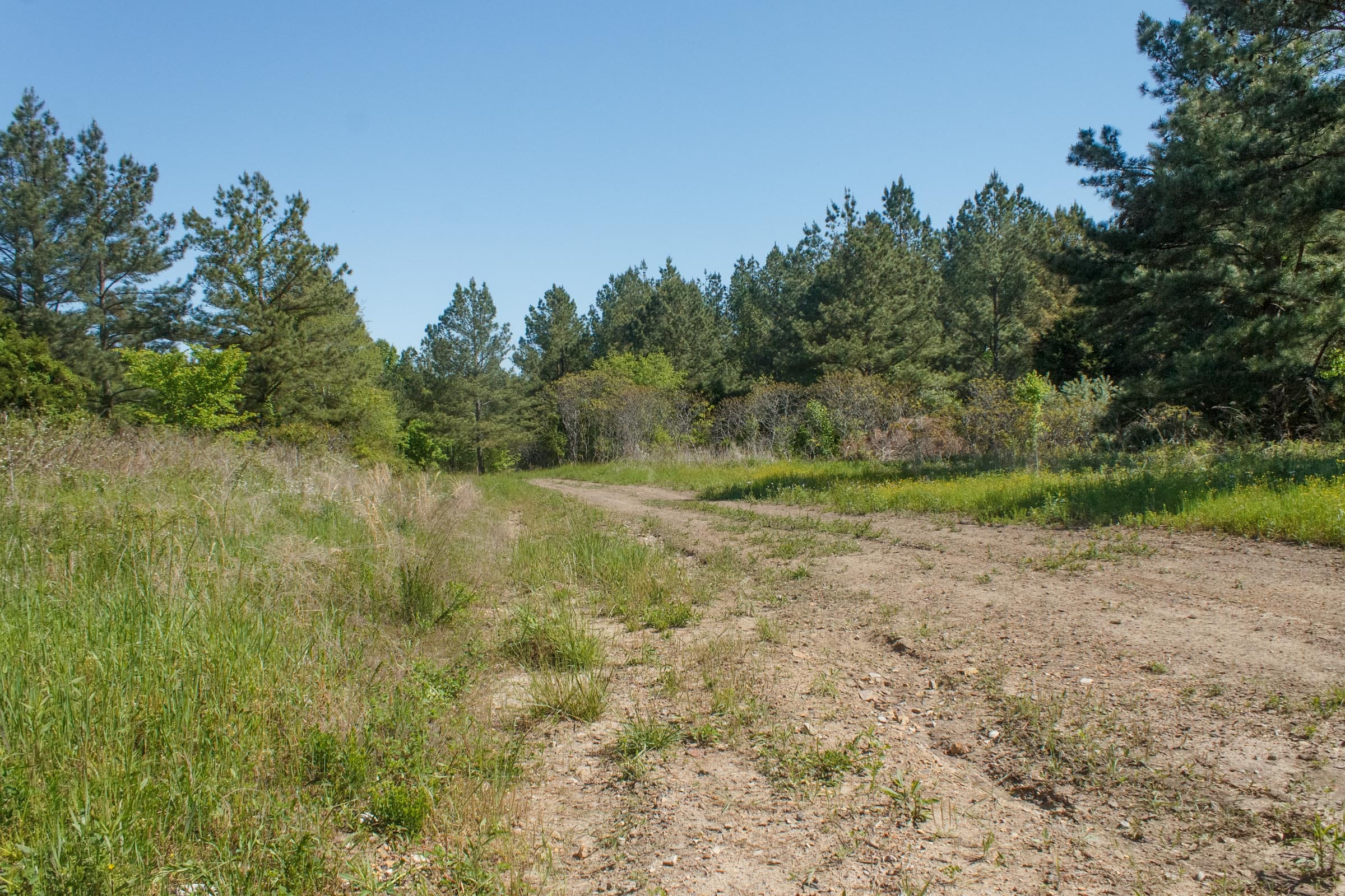 Riverbend Tract 18 photo 8