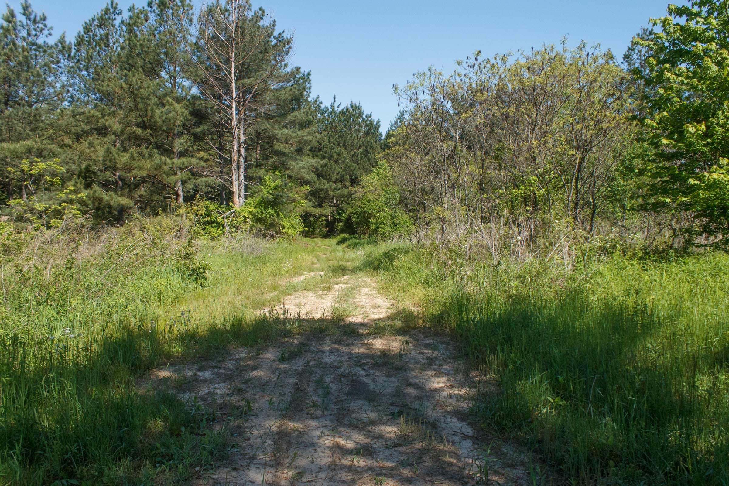Riverbend Tract 18 photo 18