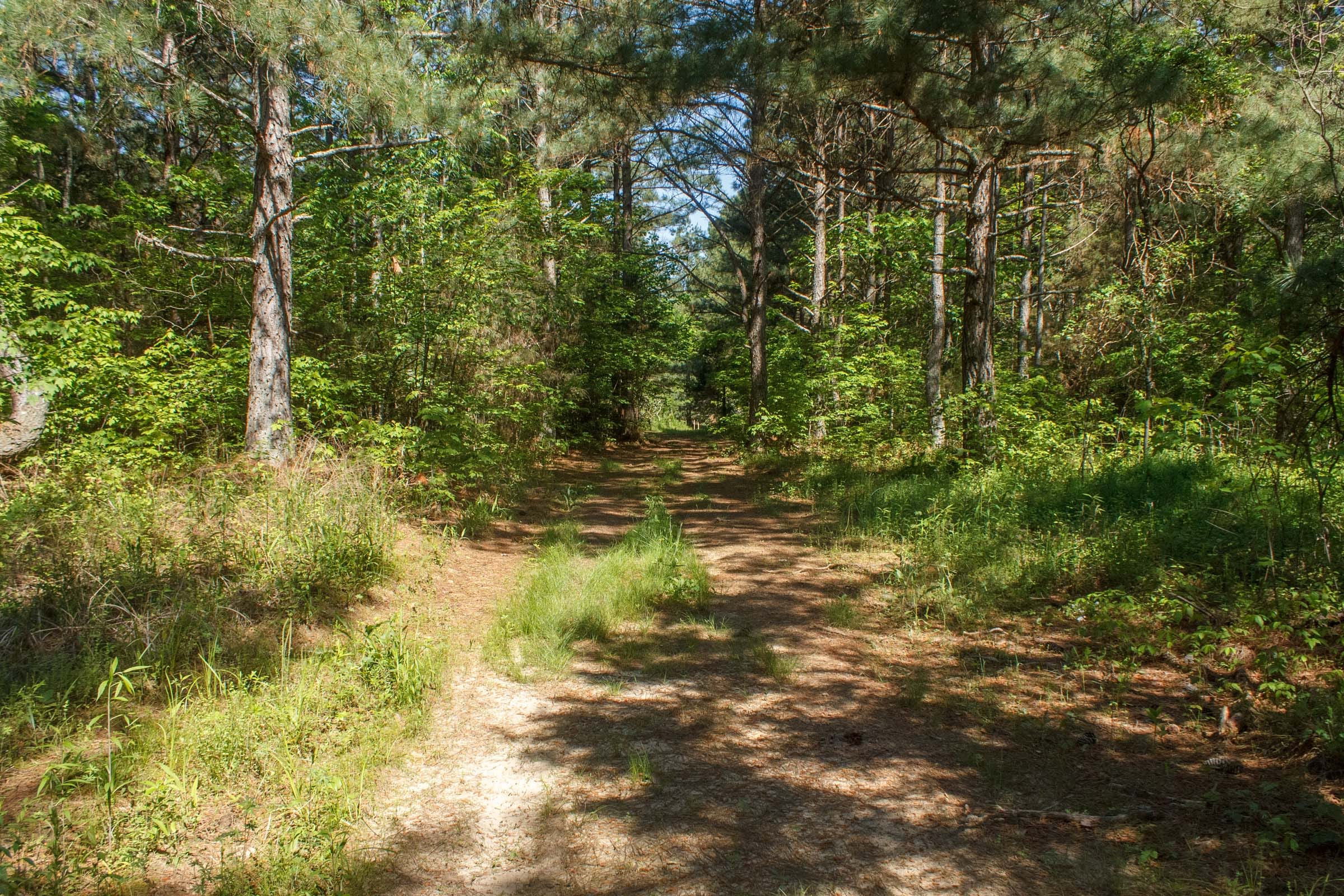 Riverbend Tract 18 photo 2
