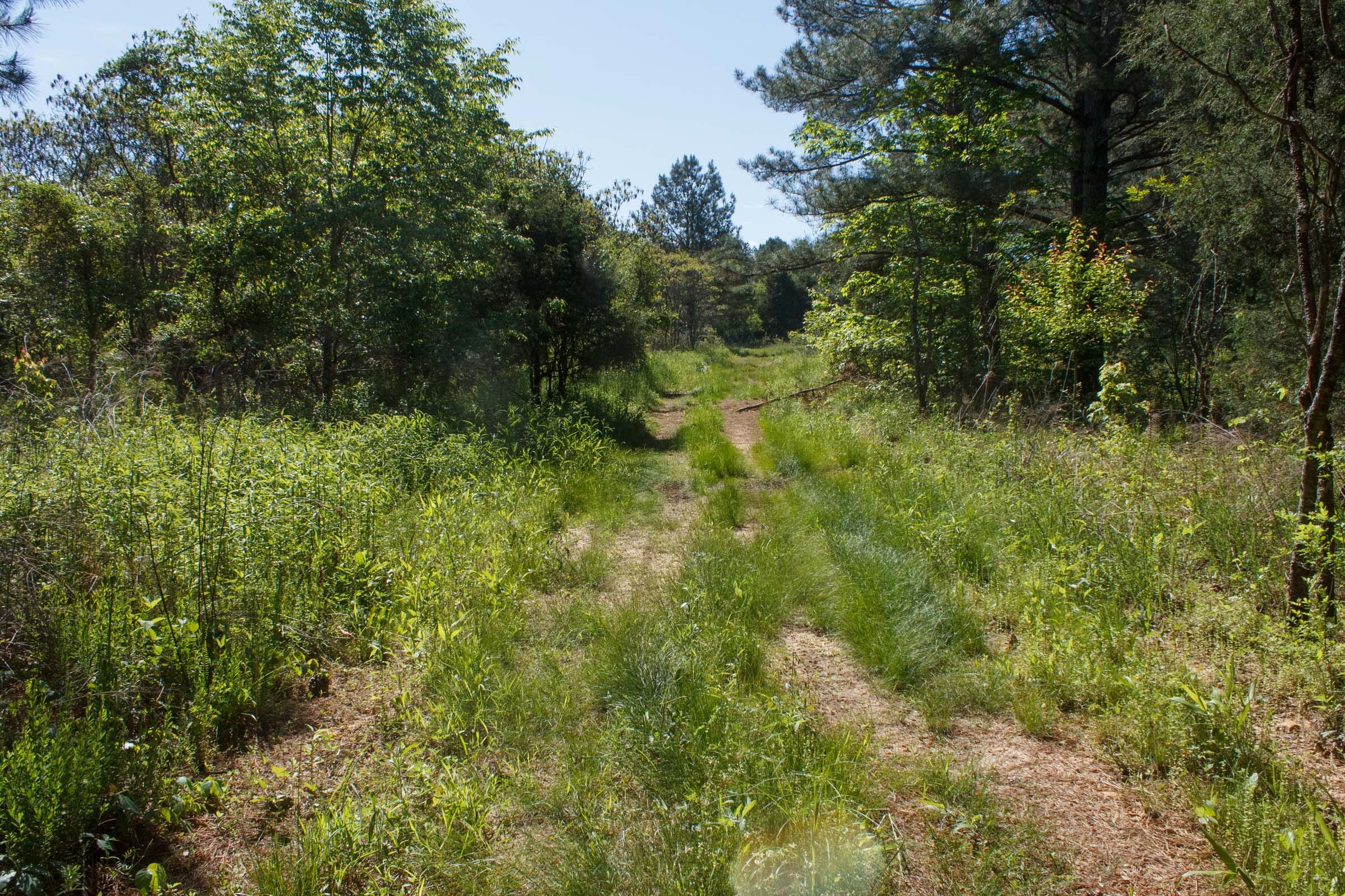 Riverbend Tract 18 photo 5