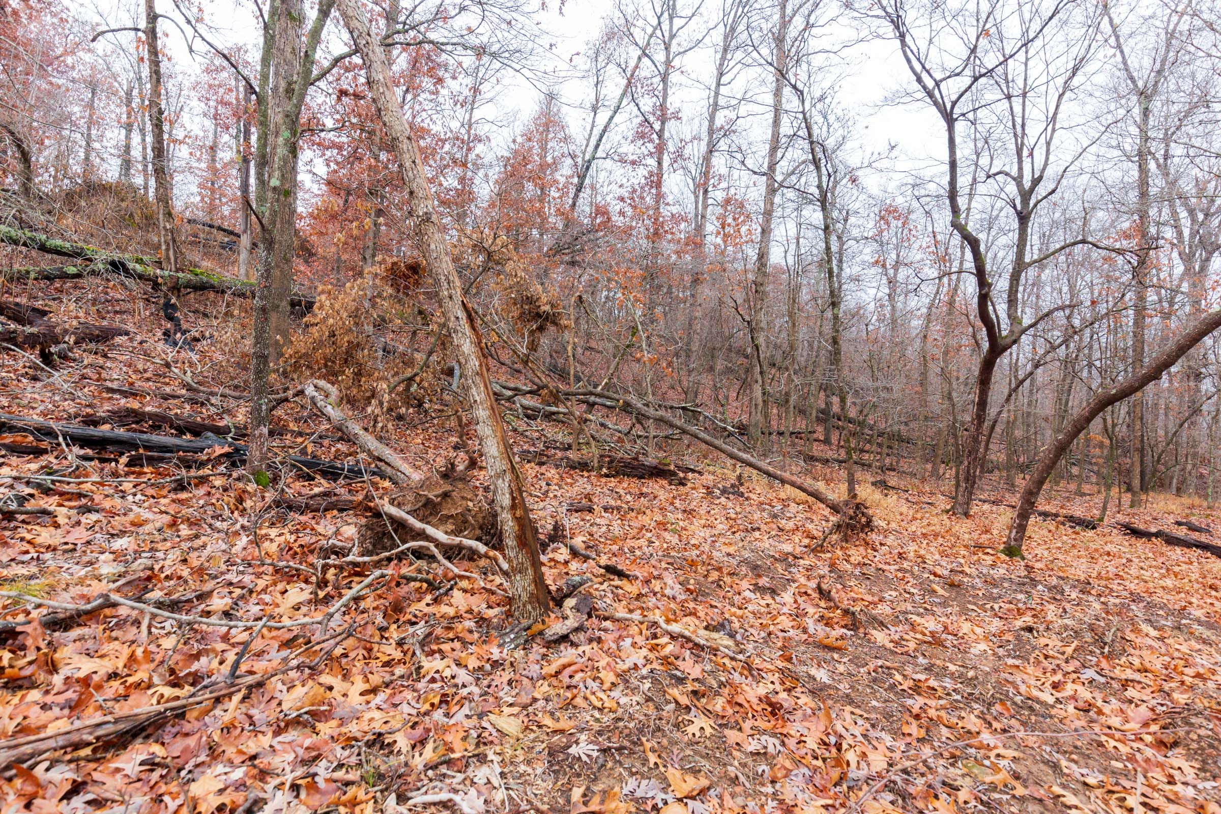 Carter’s Crossing Tract 12 photo 1