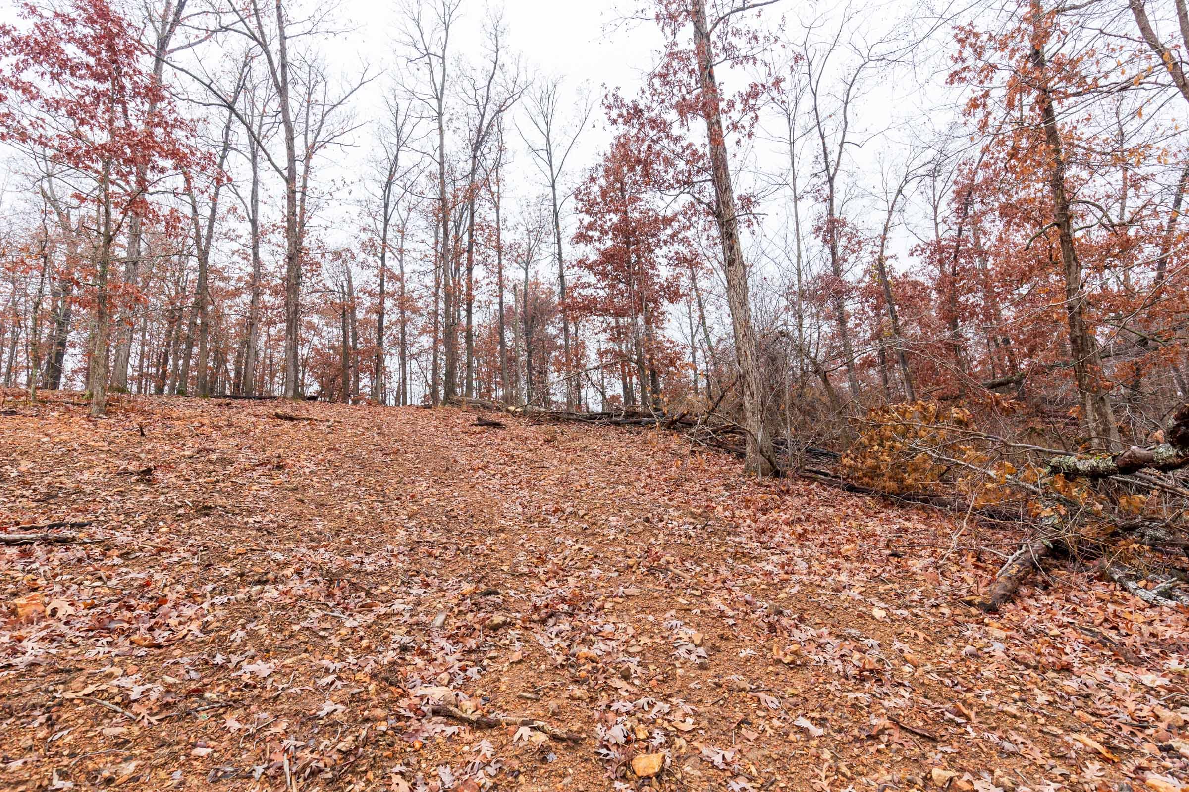 Carter’s Crossing Tract 12 photo 2