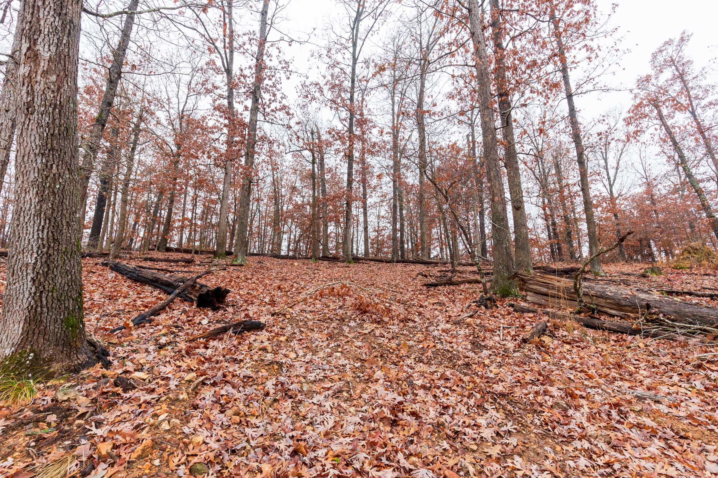 Carter’s Crossing Tract 12 photo 3