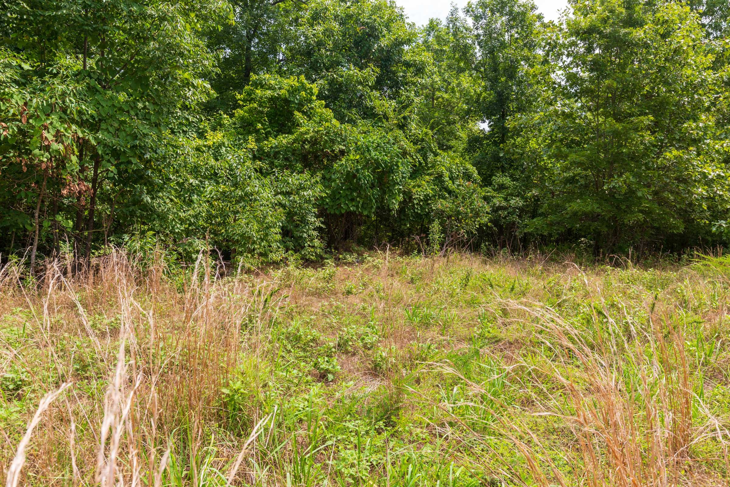 Cypress Ridge Tract 22 photo 2