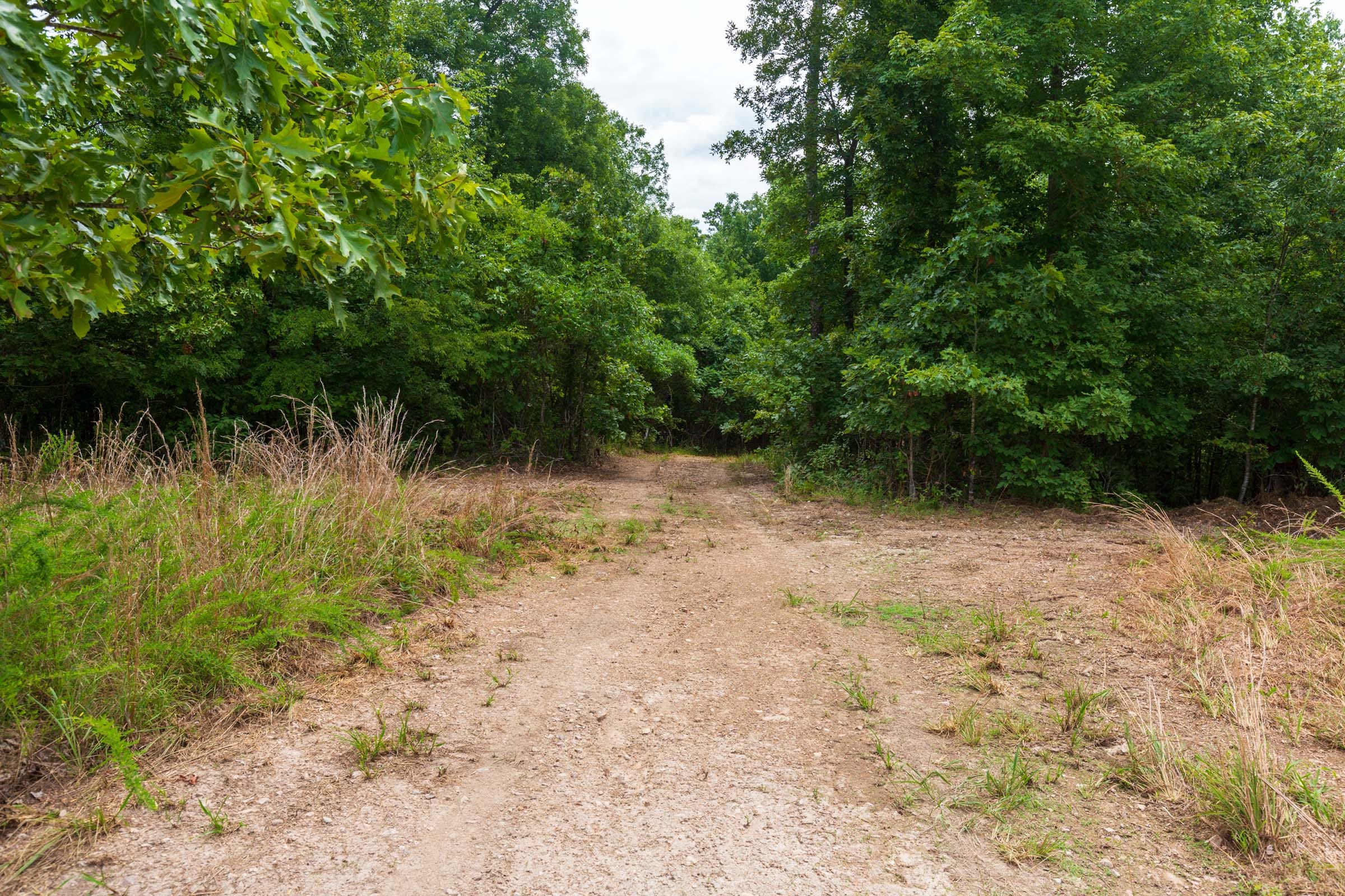 Cypress Ridge Tract 22 photo 4