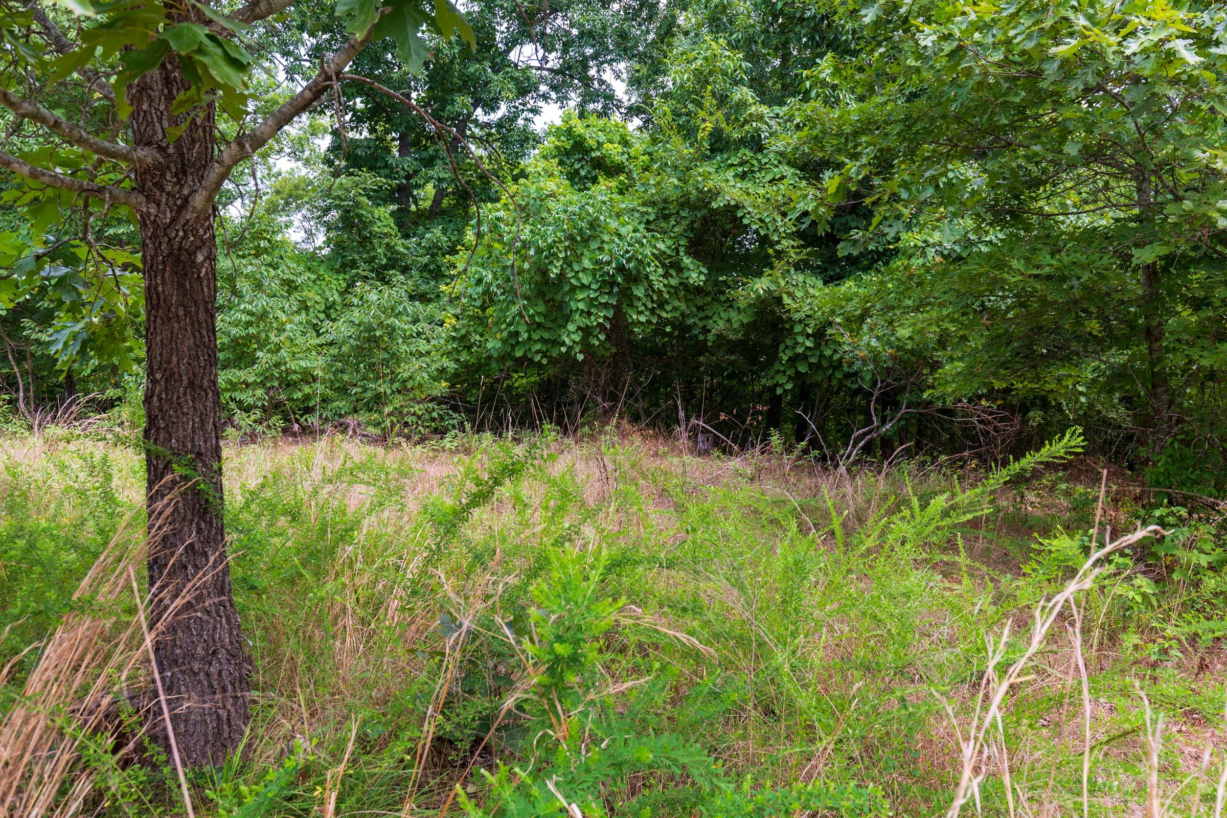 Cypress Ridge Tract 22 photo 5